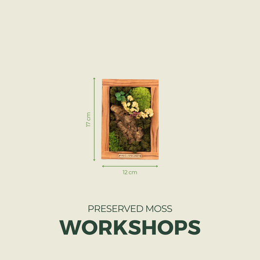 Basic Frame Workshop