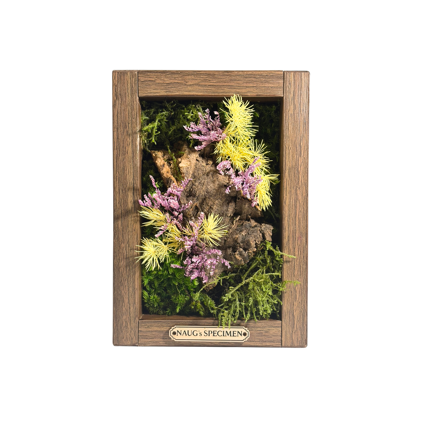 Preserved Moss Frame 180 with Cork Bark