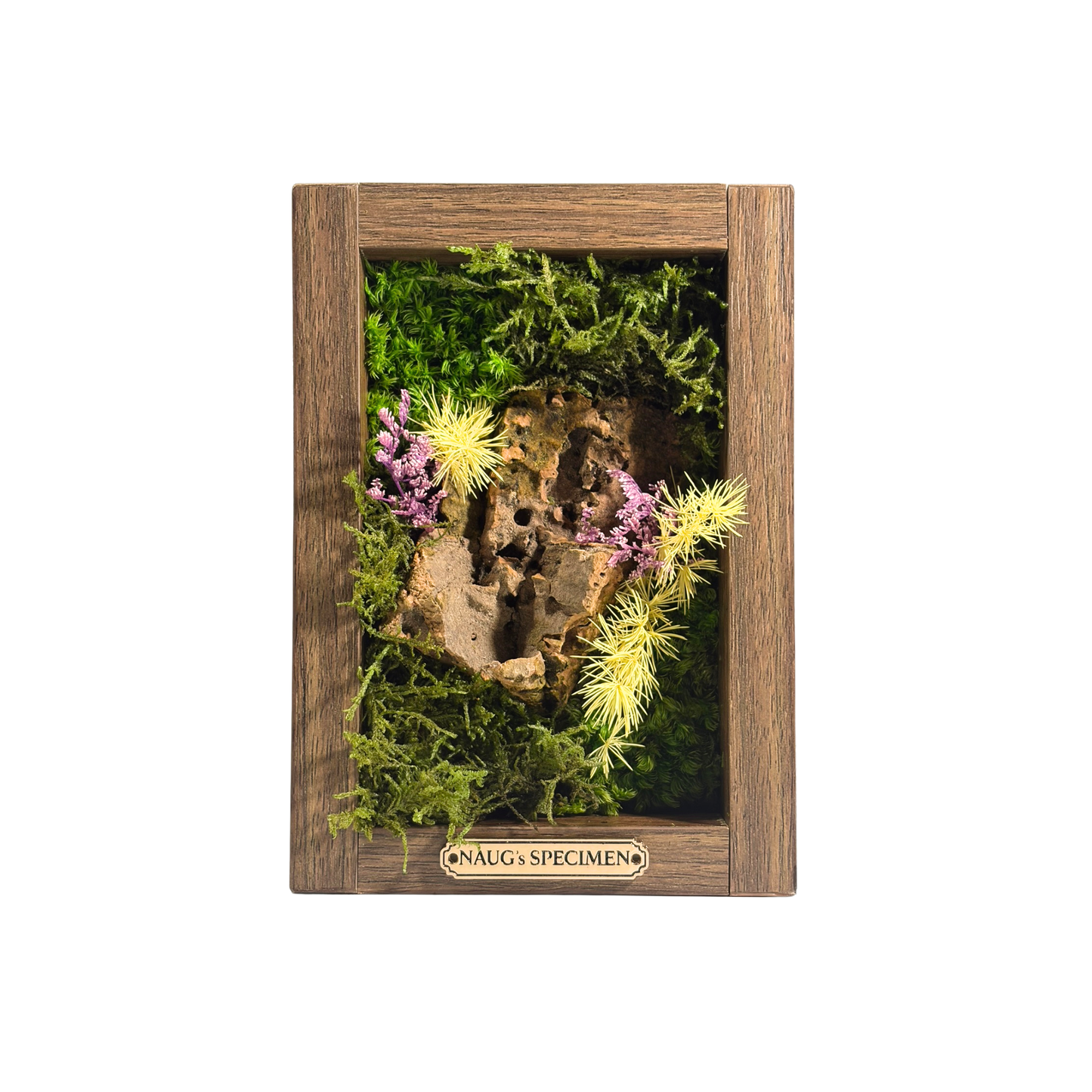 Preserved Moss Frame 180 with Cork Bark