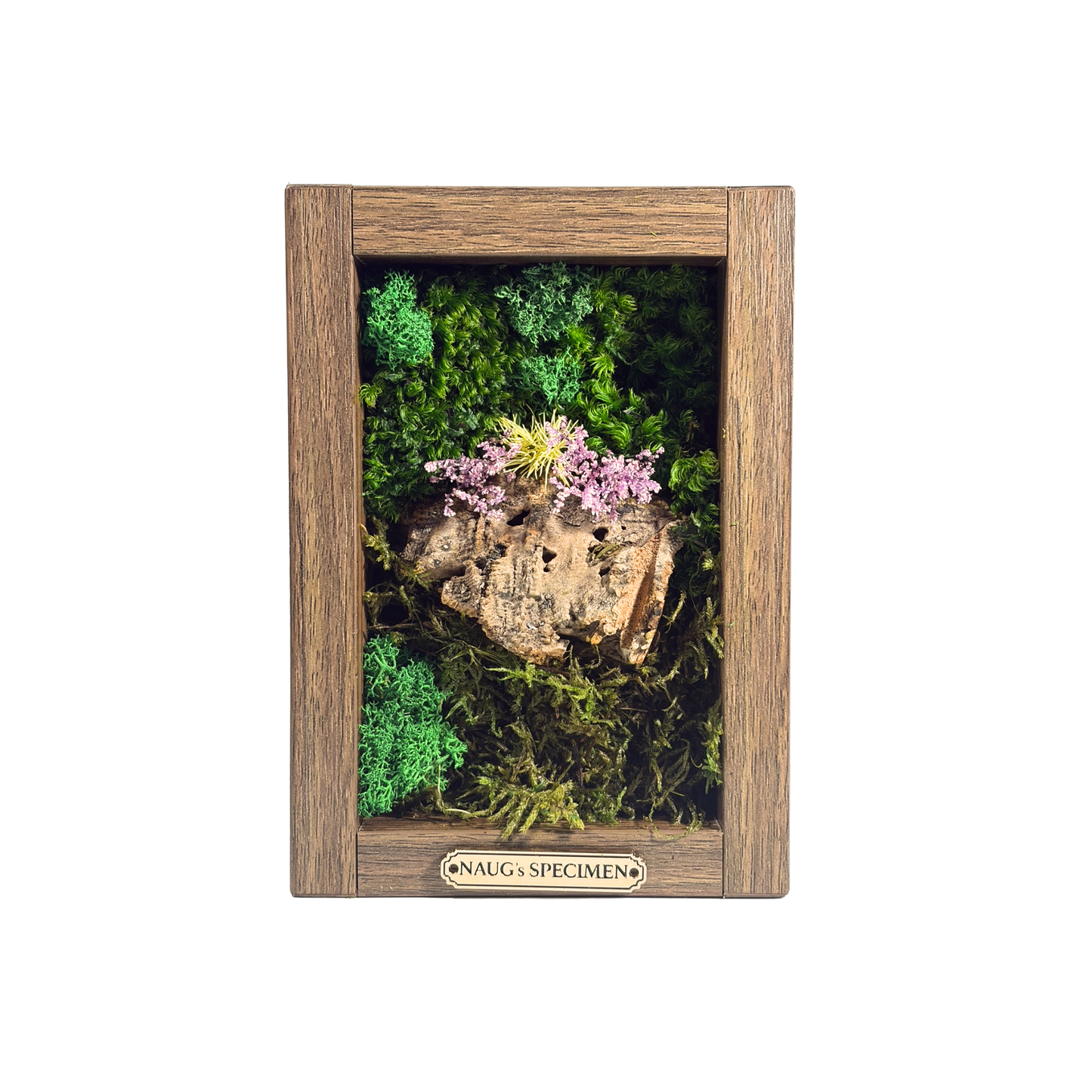 Preserved Moss Frame 180 with Cork Bark