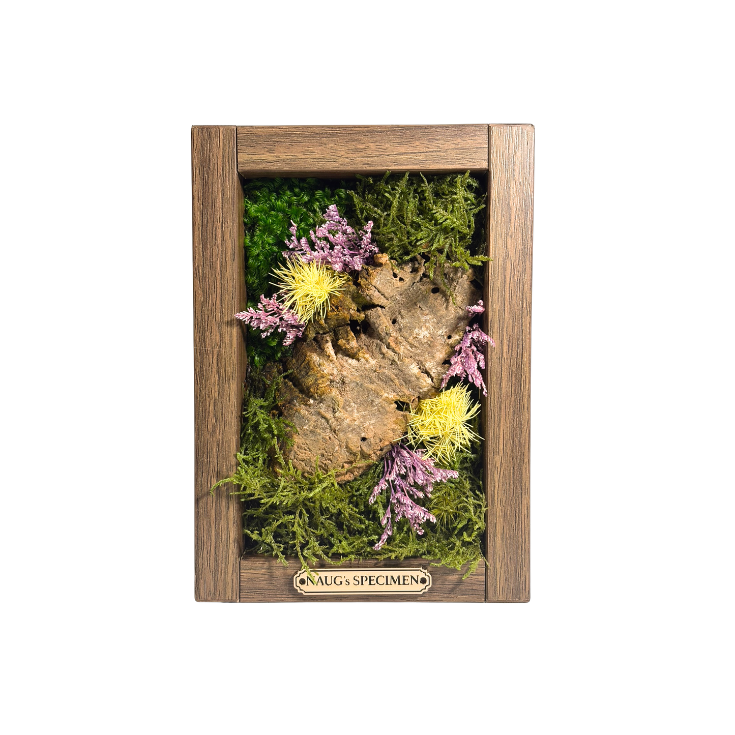 Preserved Moss Frame 180 with Cork Bark