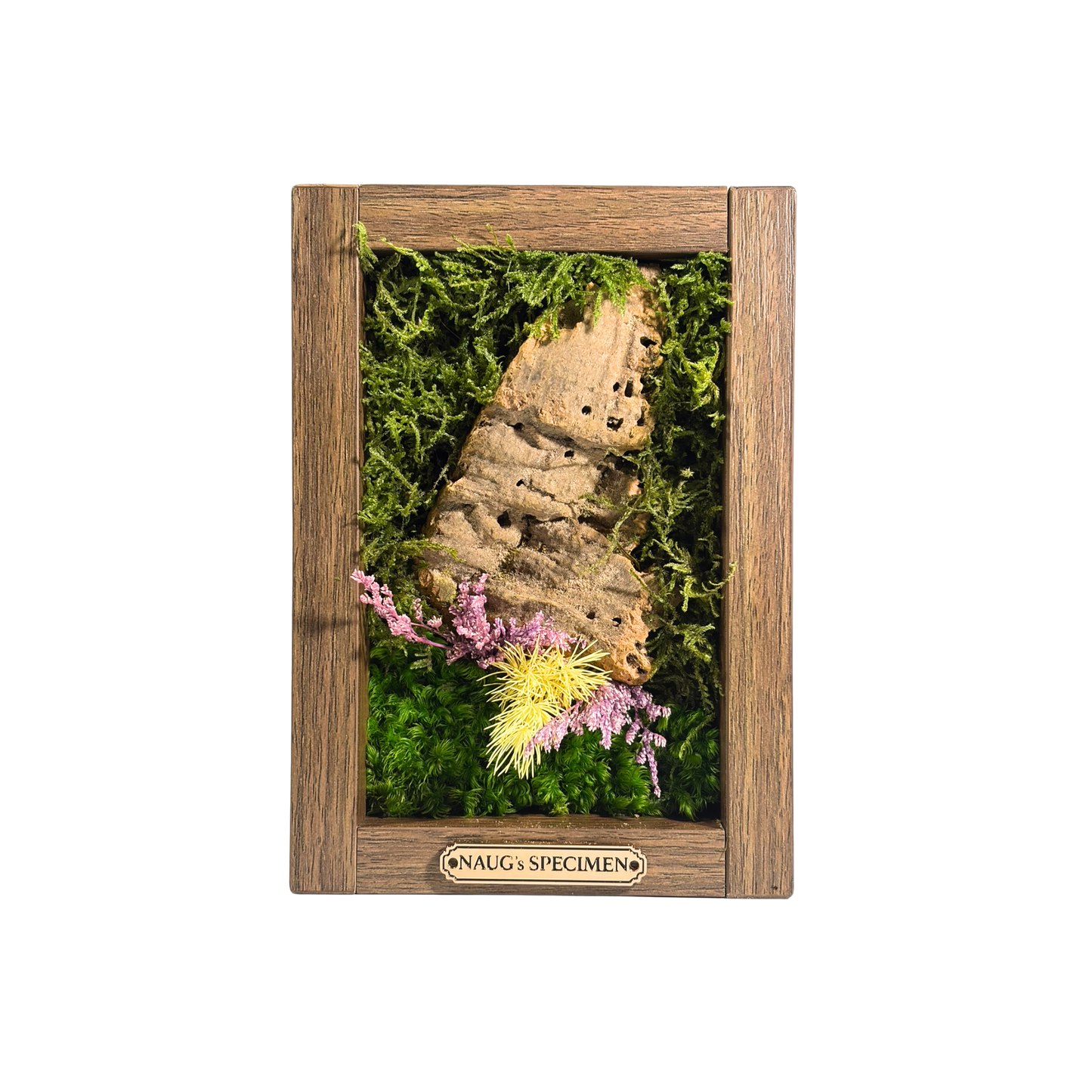 Preserved Moss Frame 180 with Cork Bark