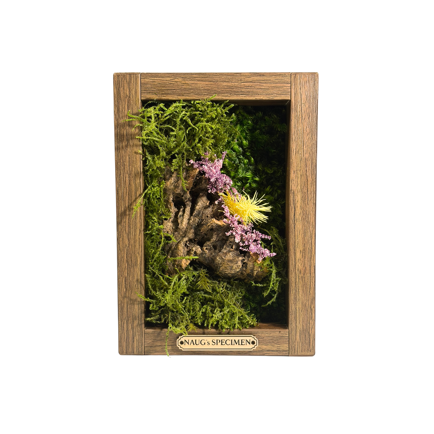 Preserved Moss Frame 180 with Cork Bark