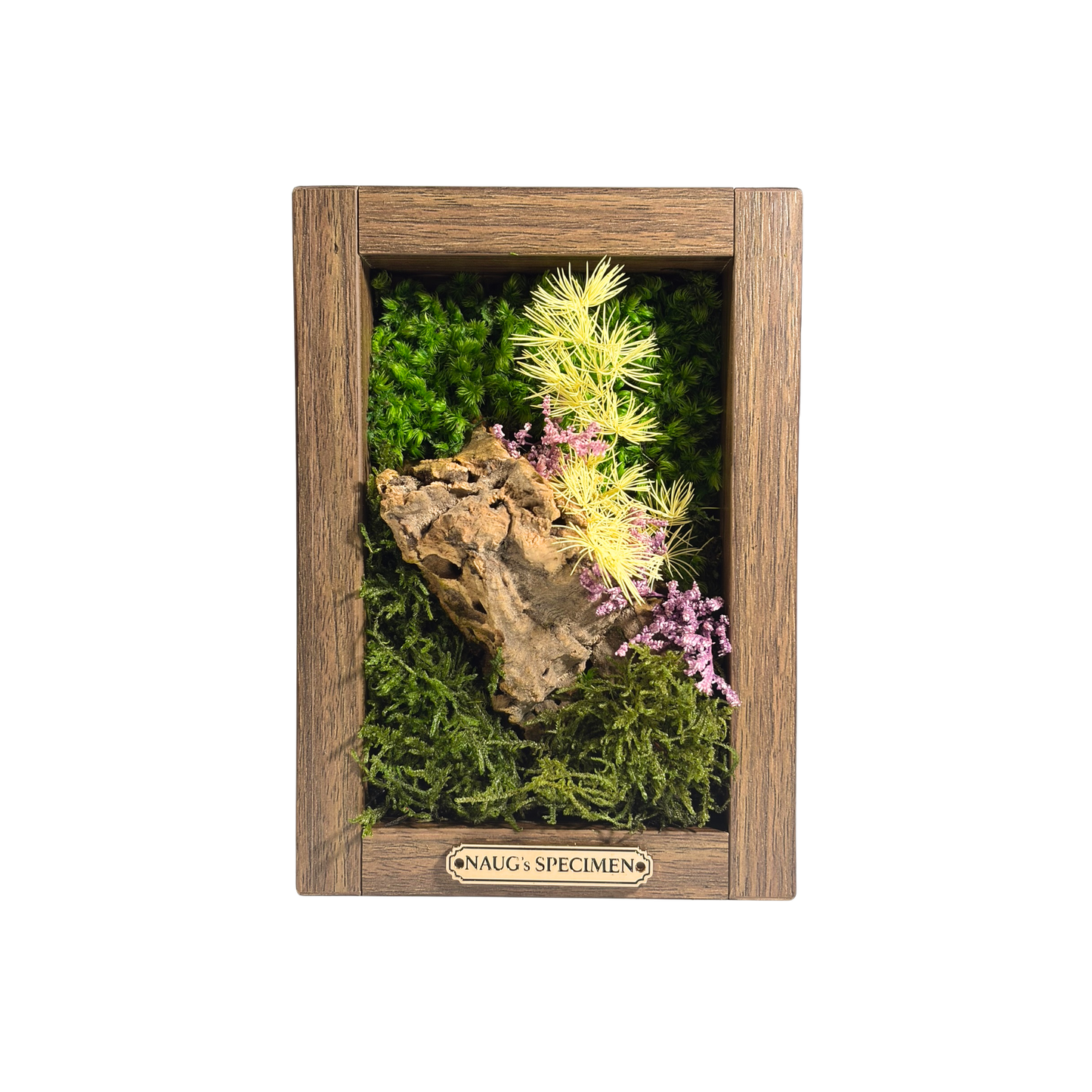 Preserved Moss Frame 180 with Cork Bark