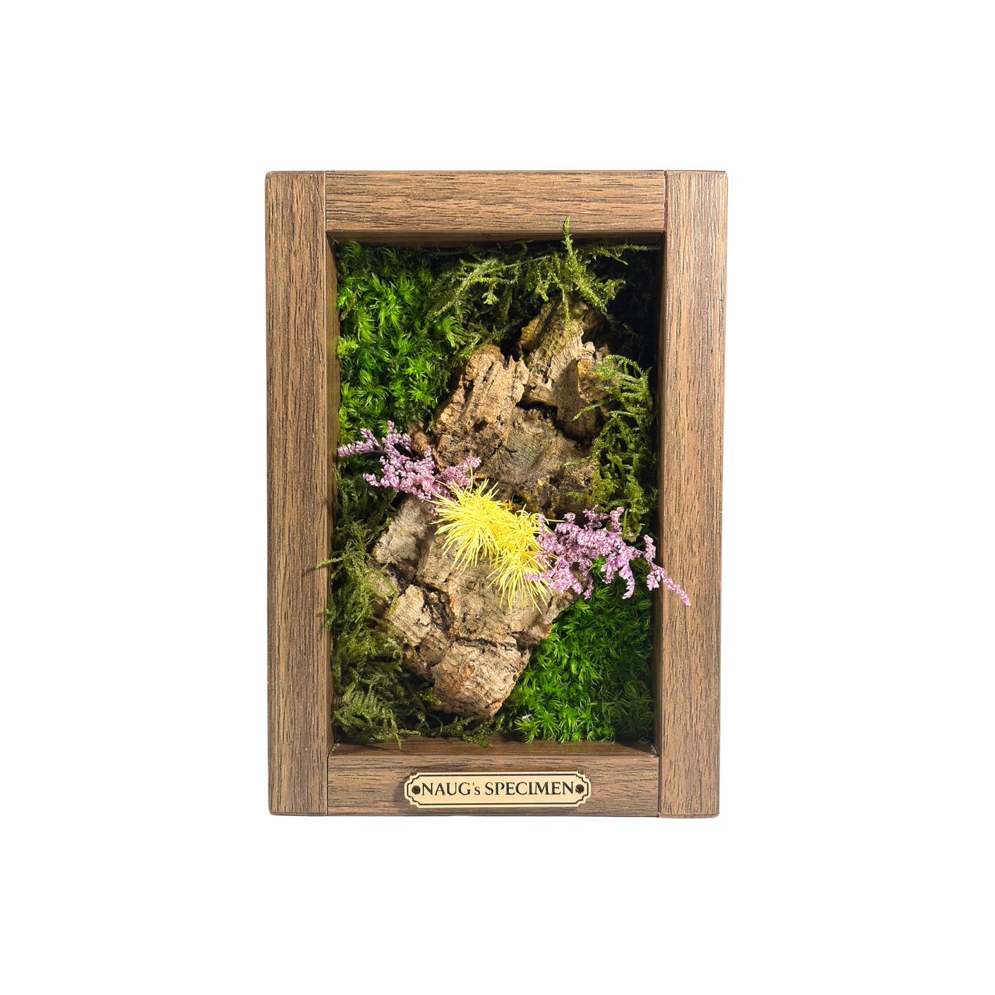 Preserved Moss Frame 180 with Cork Bark