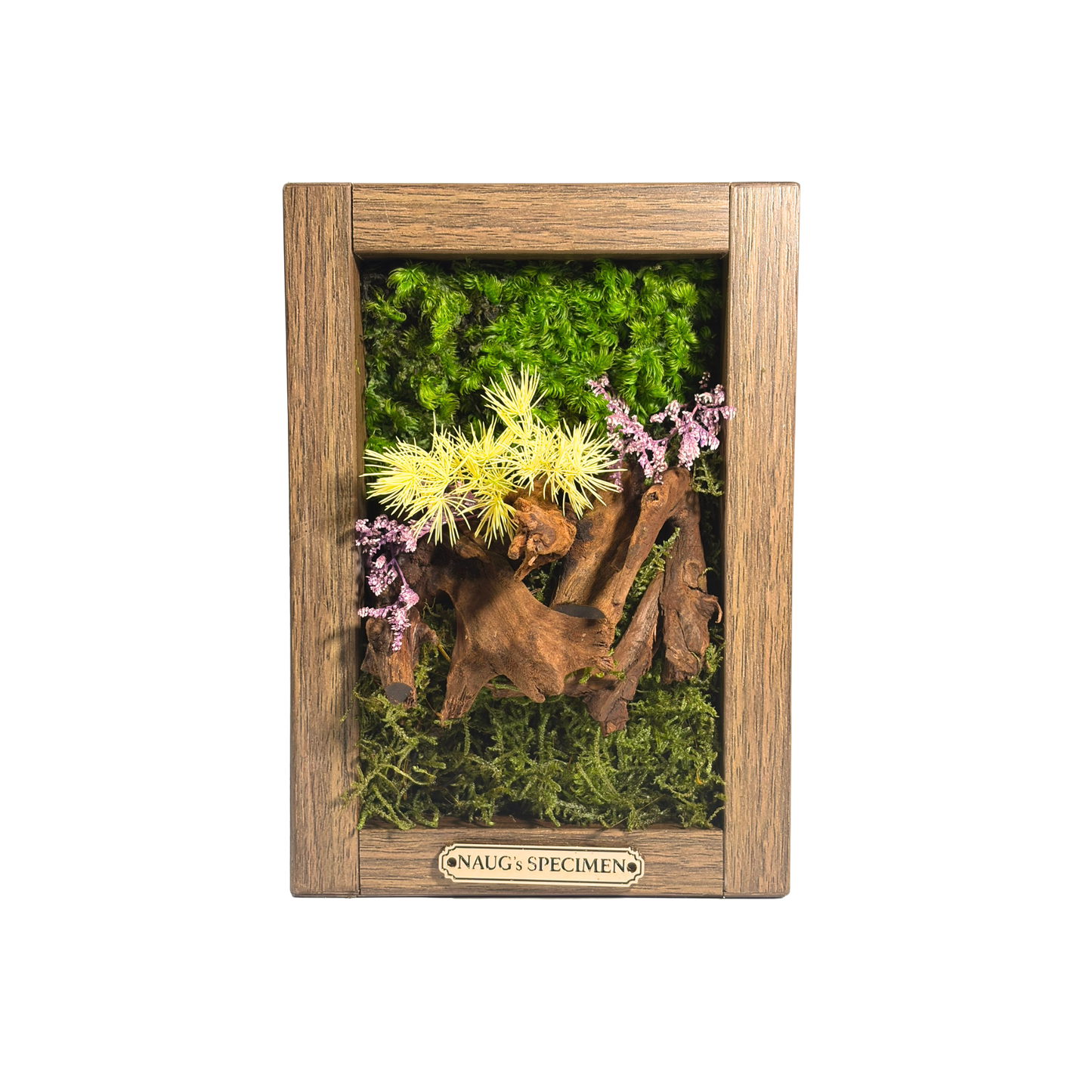 Preserved Moss Frame 180 with Driftwood