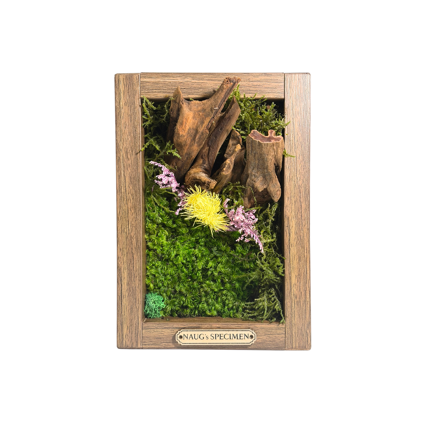 Preserved Moss Frame 180 with Driftwood