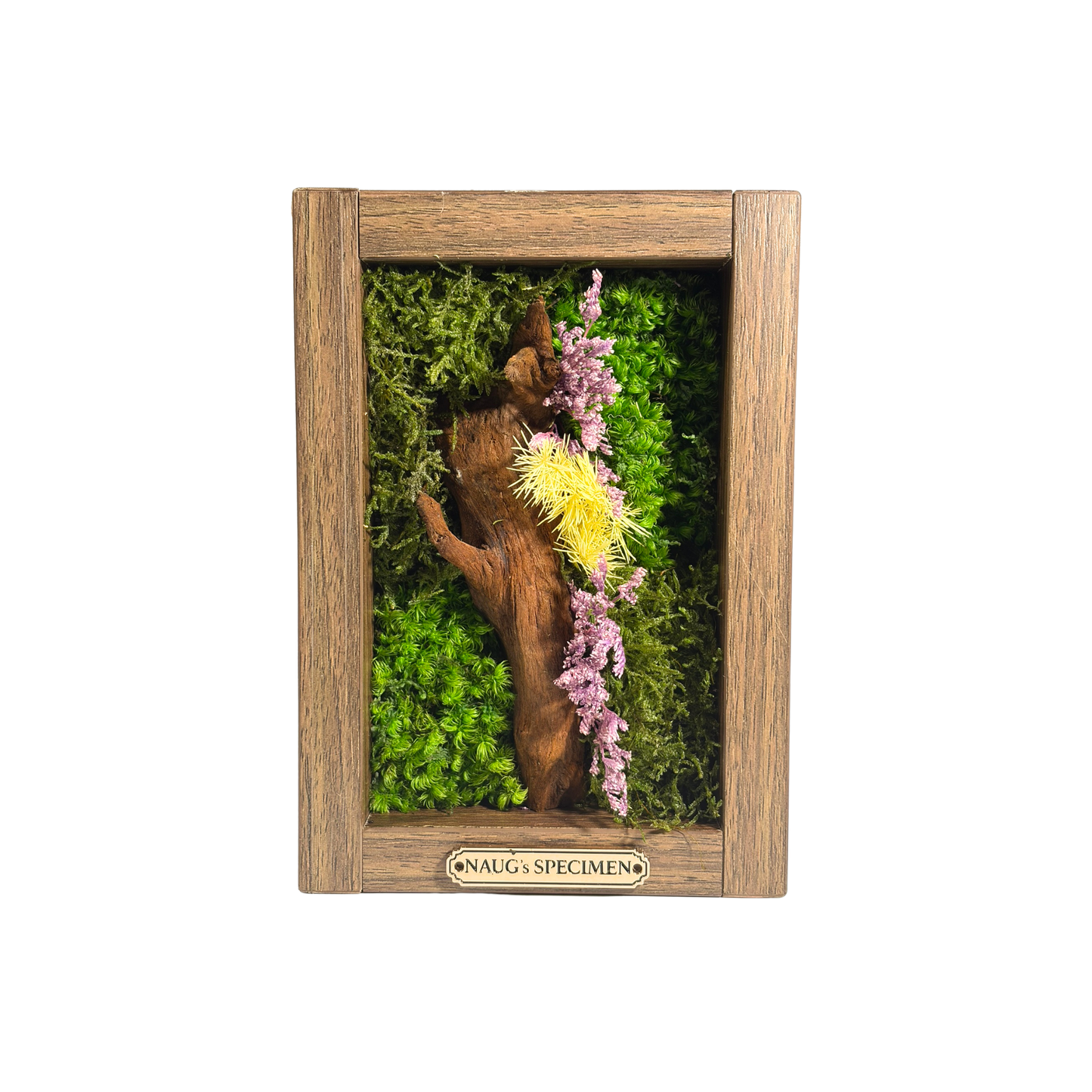 Preserved Moss Frame 180 with Driftwood