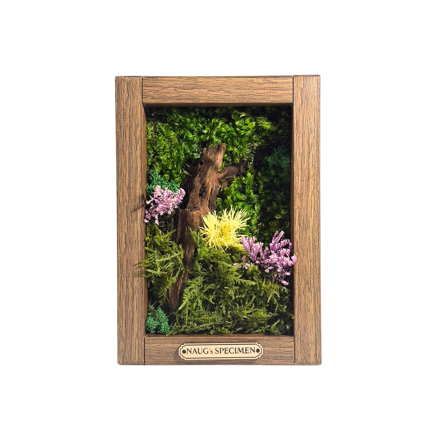 Preserved Moss Frame 180 with Driftwood