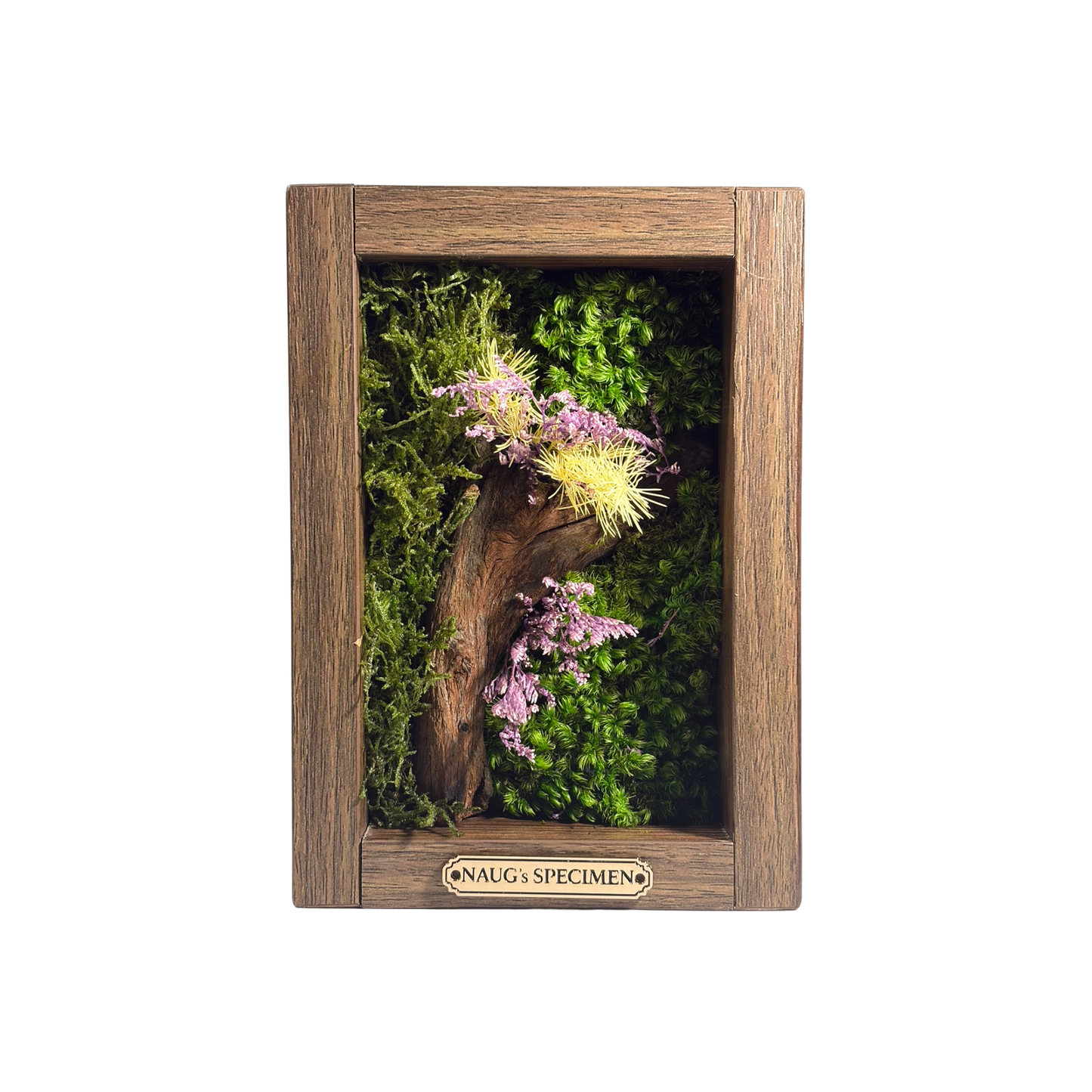 Preserved Moss Frame 180 with Driftwood