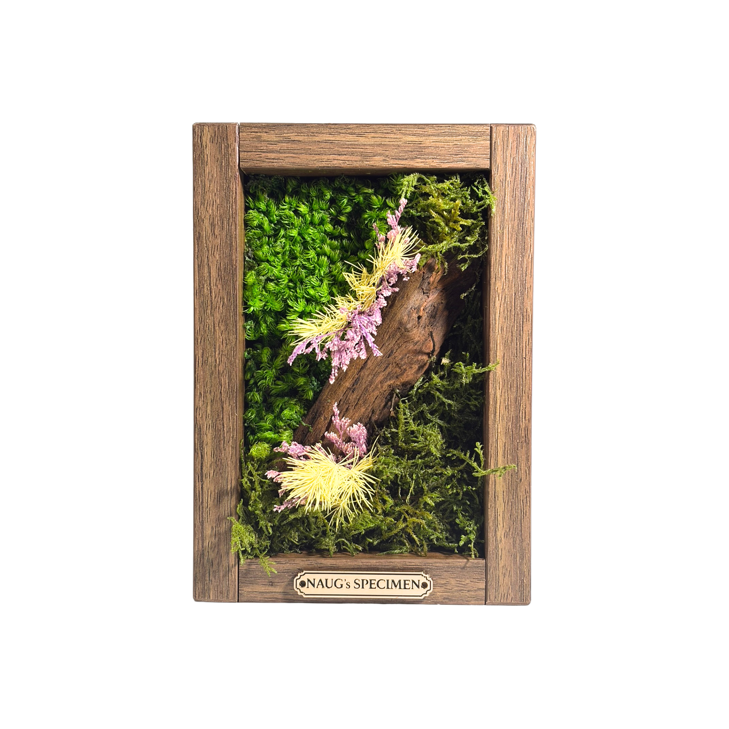 Preserved Moss Frame 180 with Driftwood