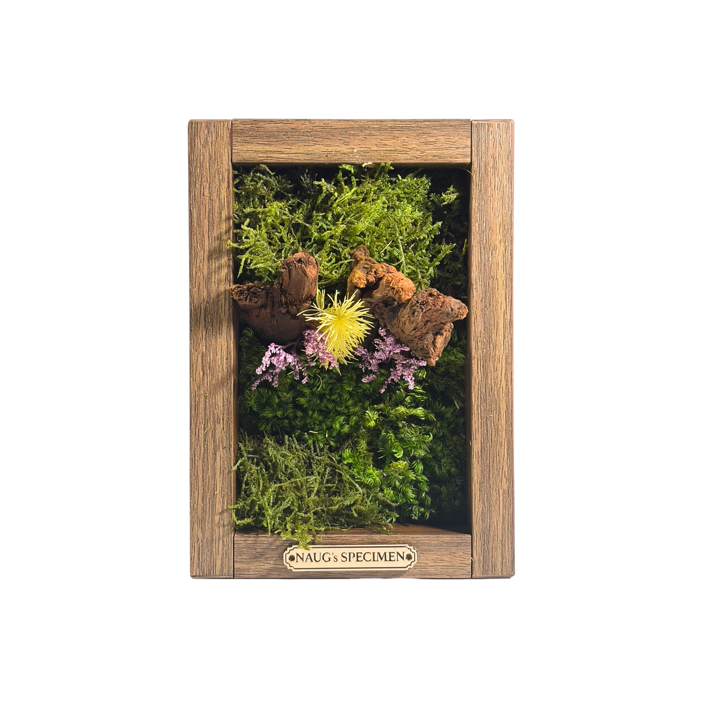 Preserved Moss Frame 180 with Driftwood