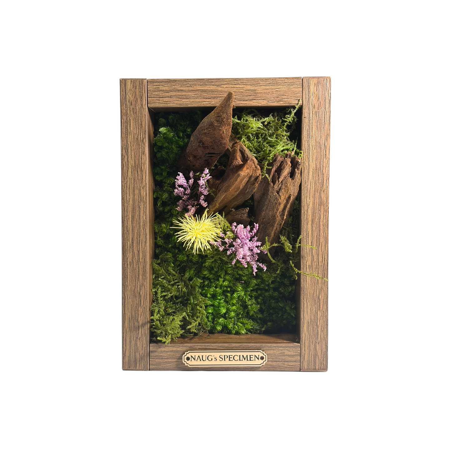 Preserved Moss Frame 180 with Driftwood