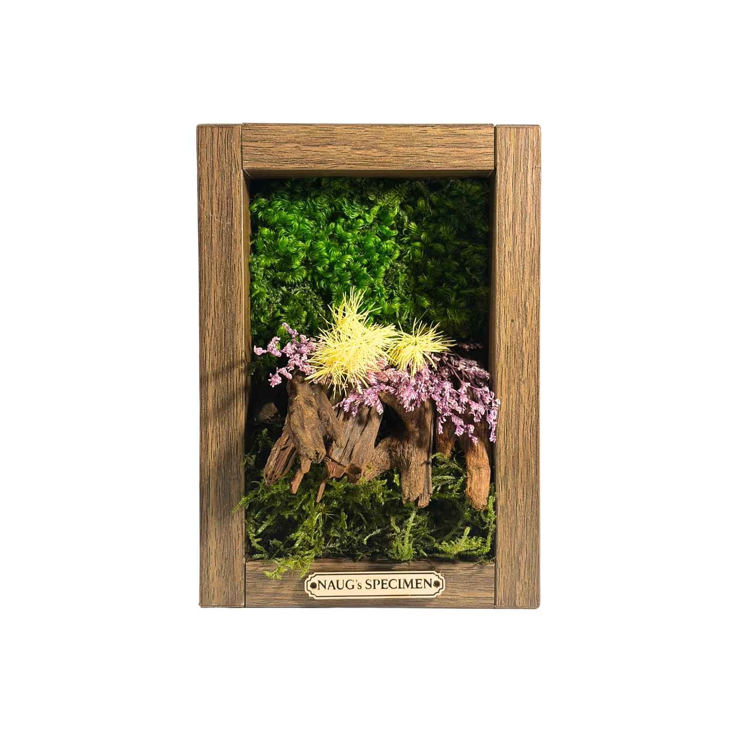 Preserved Moss Frame 180 with Driftwood