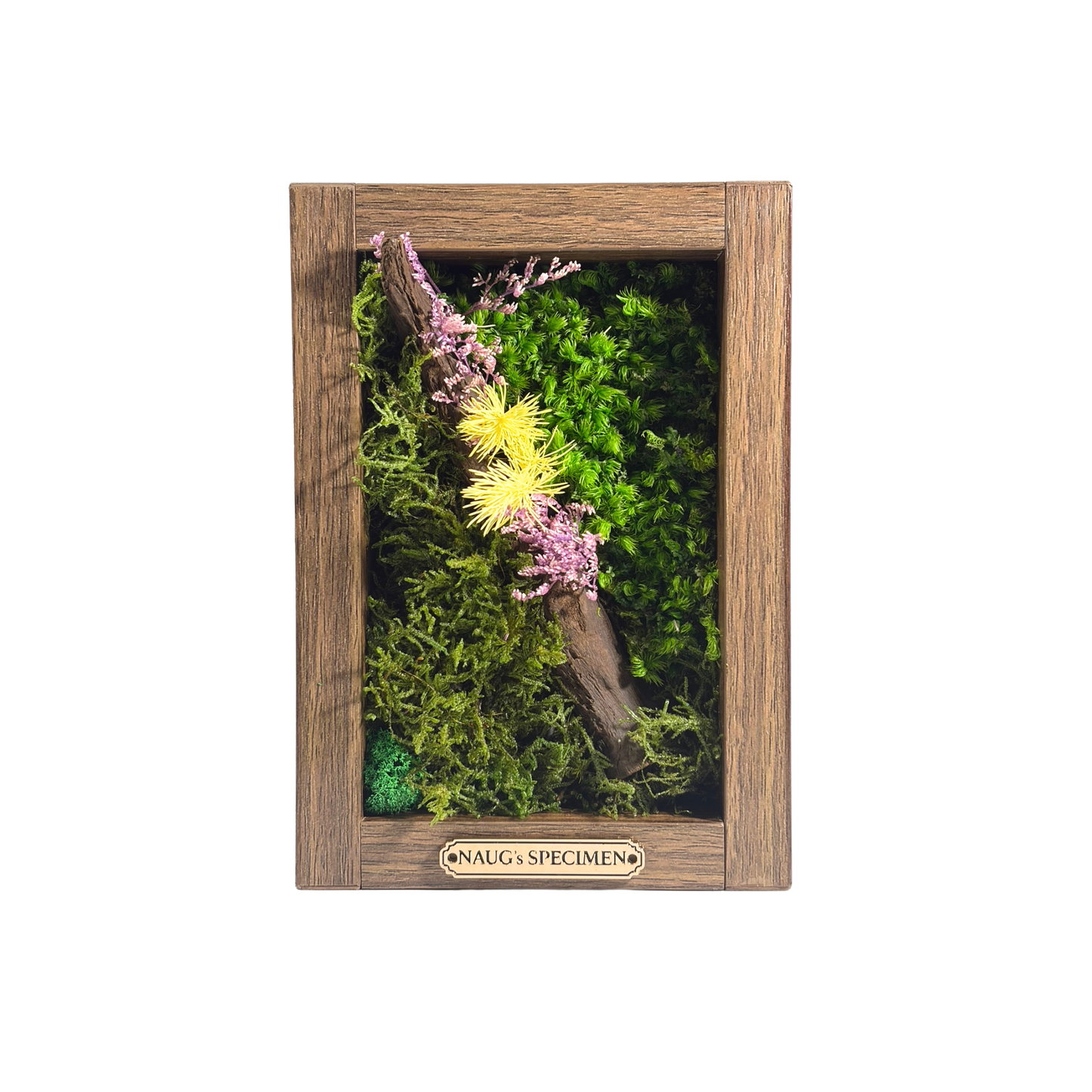 Preserved Moss Frame 180 with Driftwood