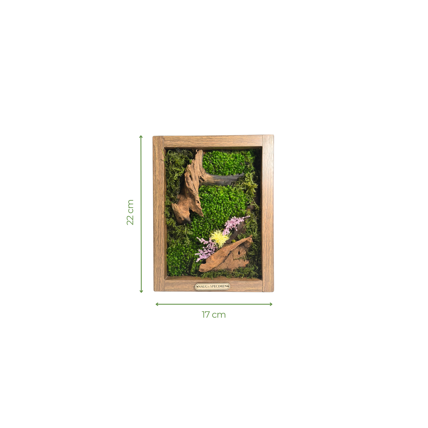 Preserved Moss Frame 280 with Driftwood