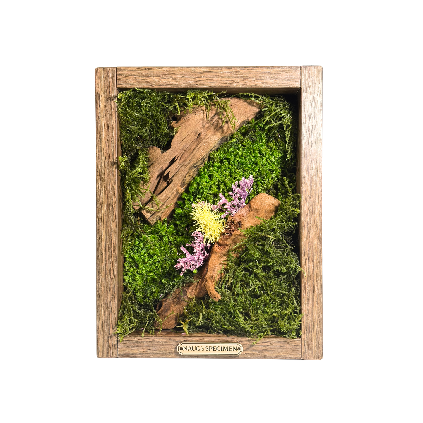 Preserved Moss Frame 280 with Driftwood
