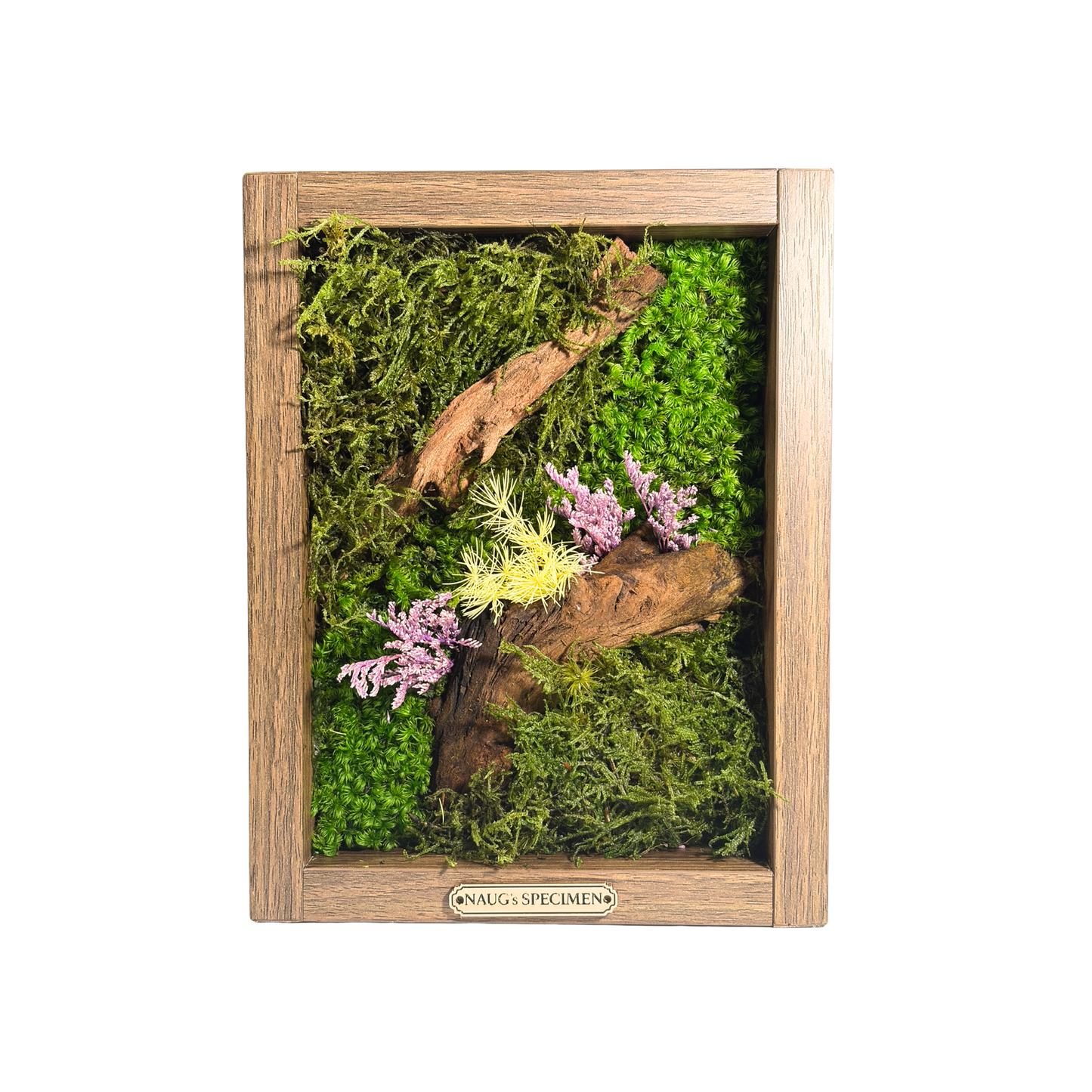 Preserved Moss Frame 280 with Driftwood