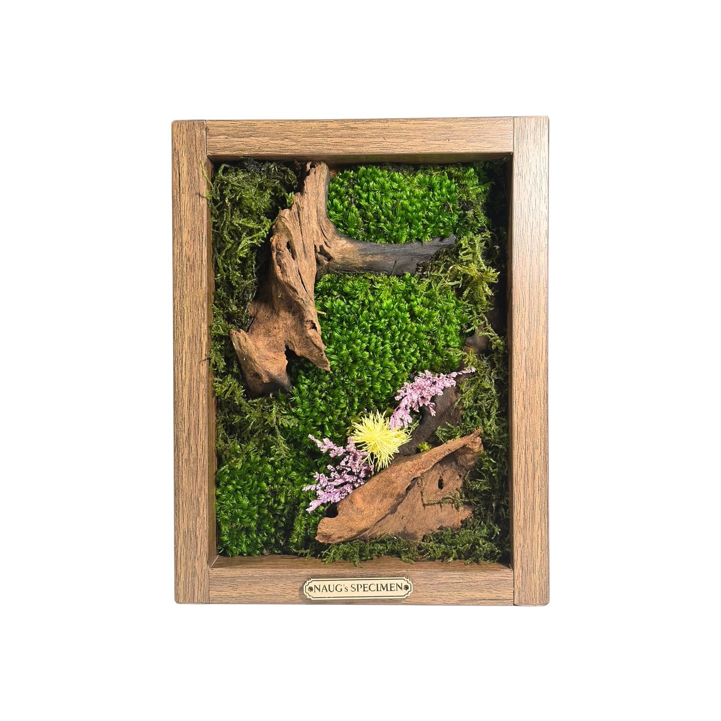 Preserved Moss Frame 280 with Driftwood