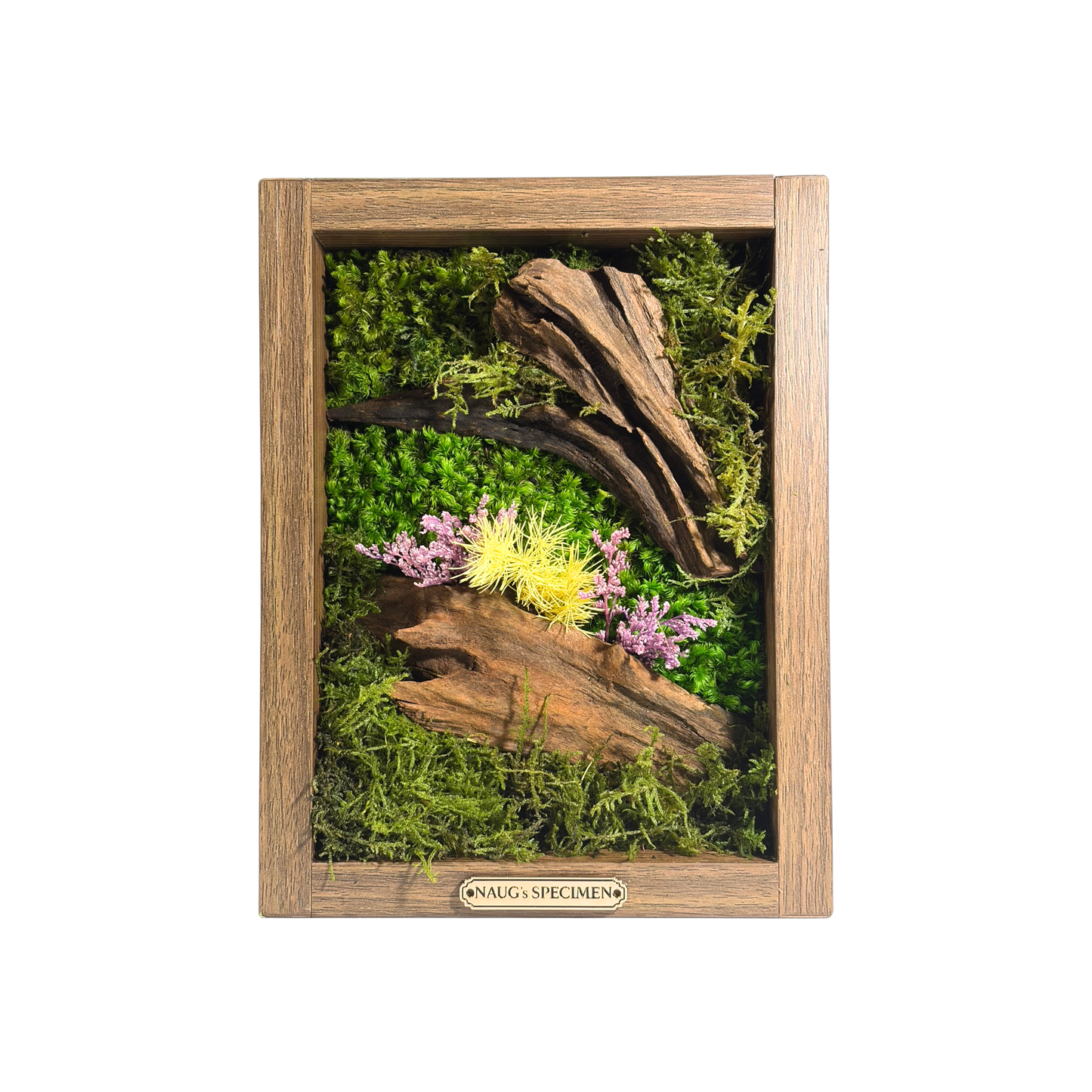 Preserved Moss Frame 280 with Driftwood