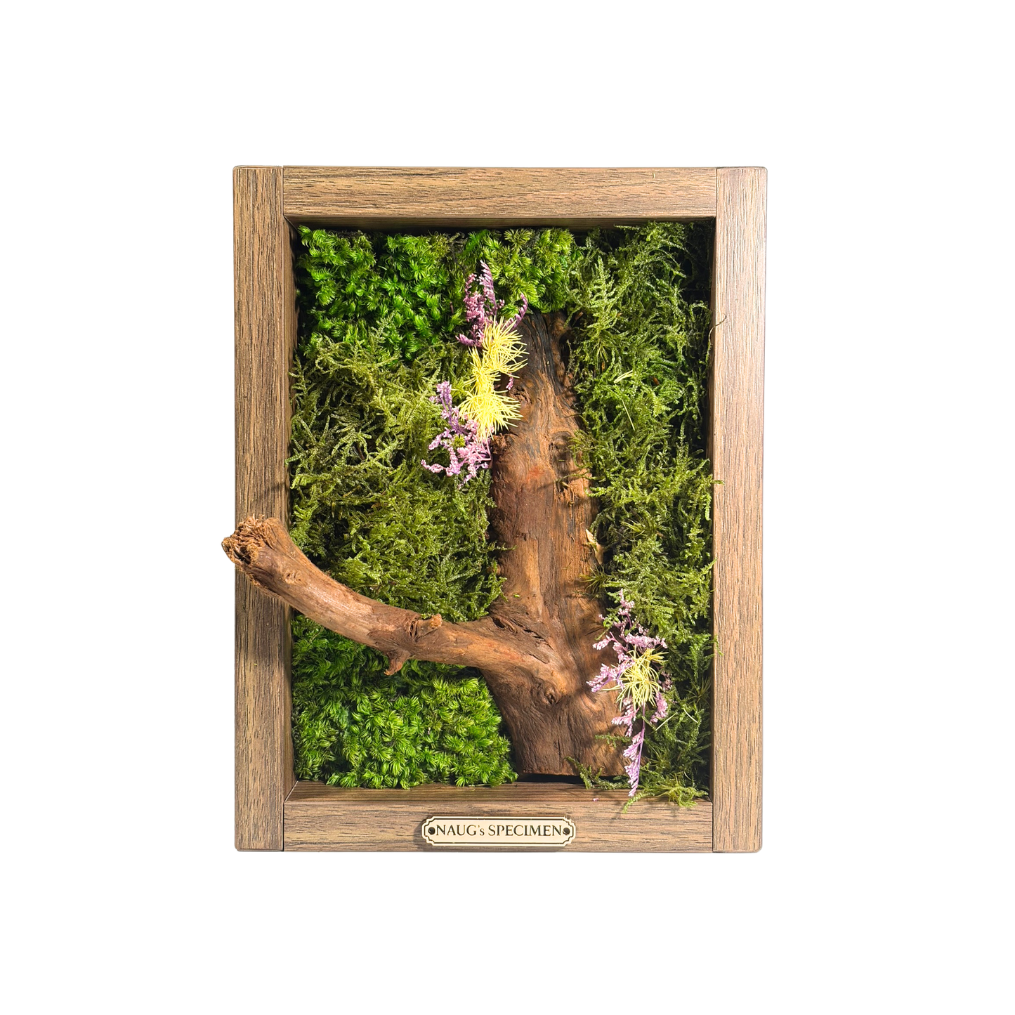 Preserved Moss Frame 280 with Driftwood