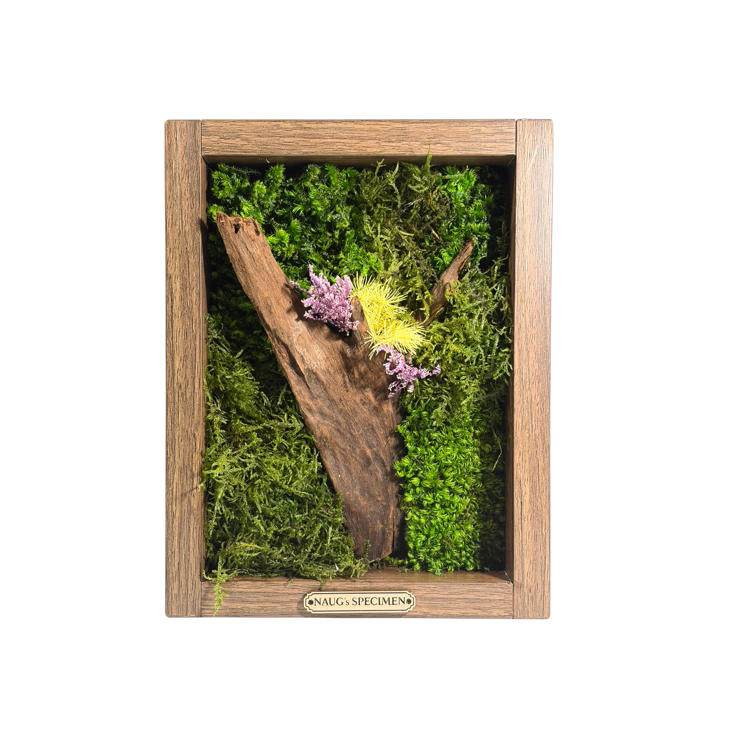 Preserved Moss Frame 280 with Driftwood