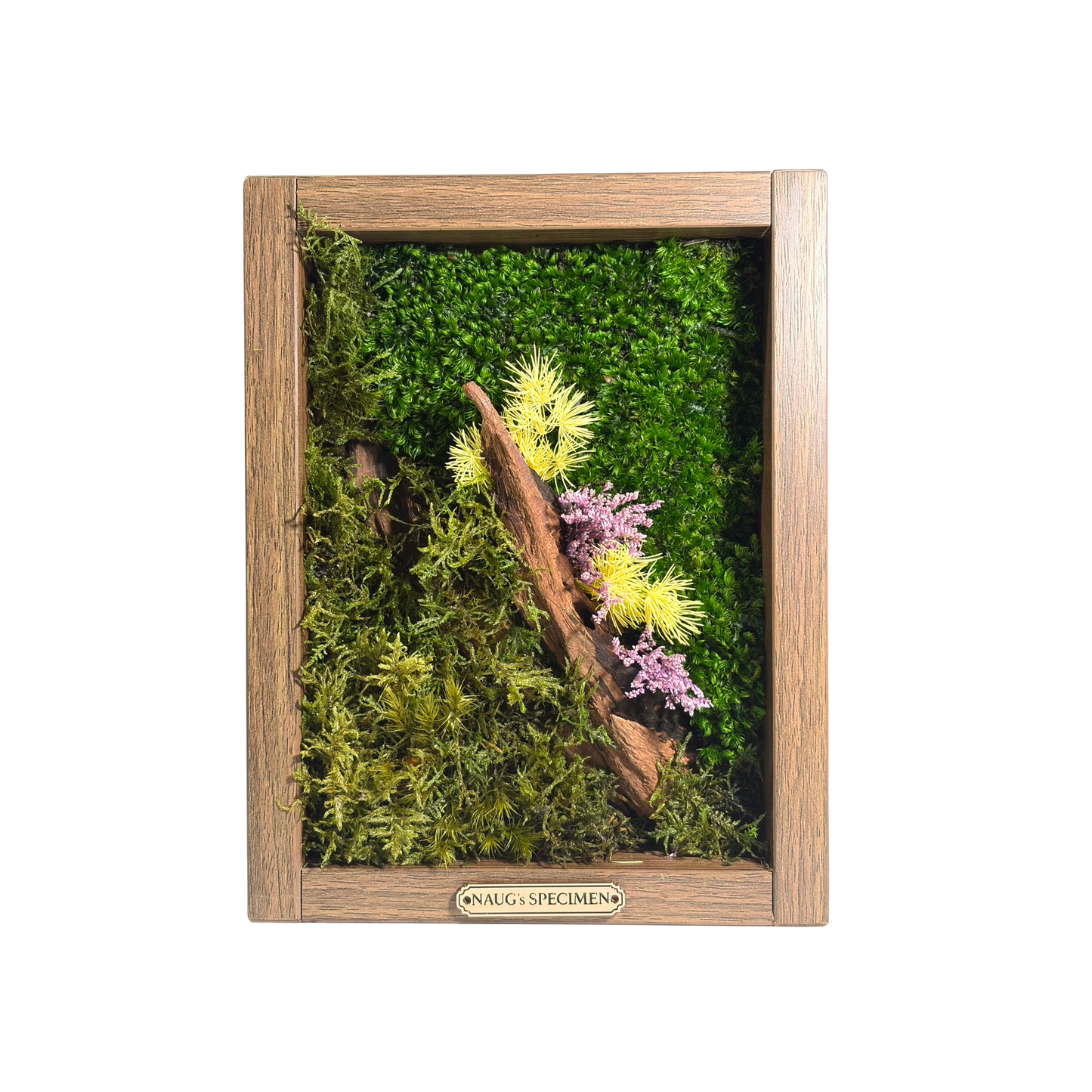 Preserved Moss Frame 280 with Driftwood