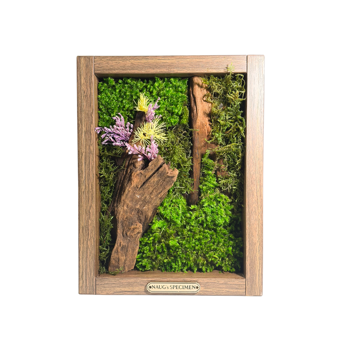 Preserved Moss Frame 280 with Driftwood