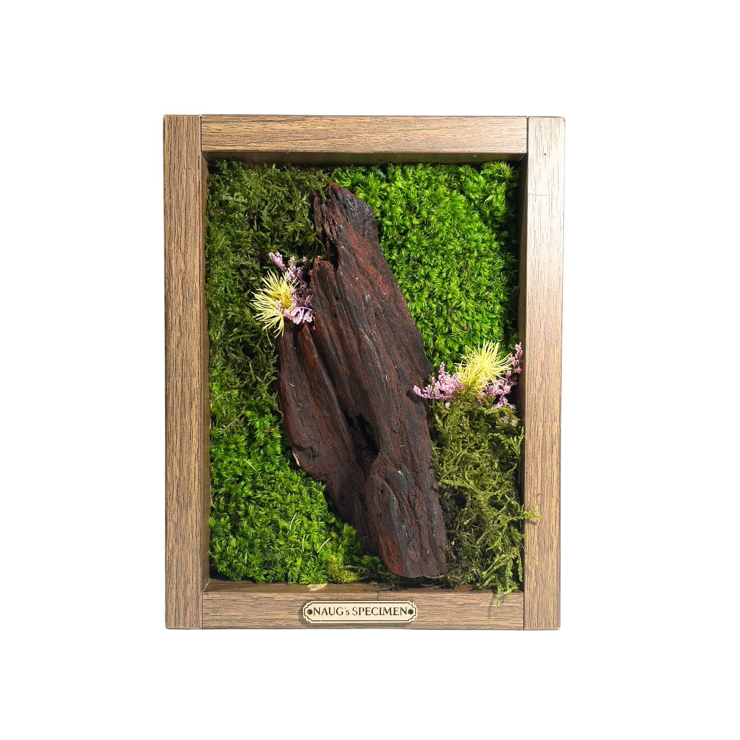 Preserved Moss Frame 280 with Driftwood
