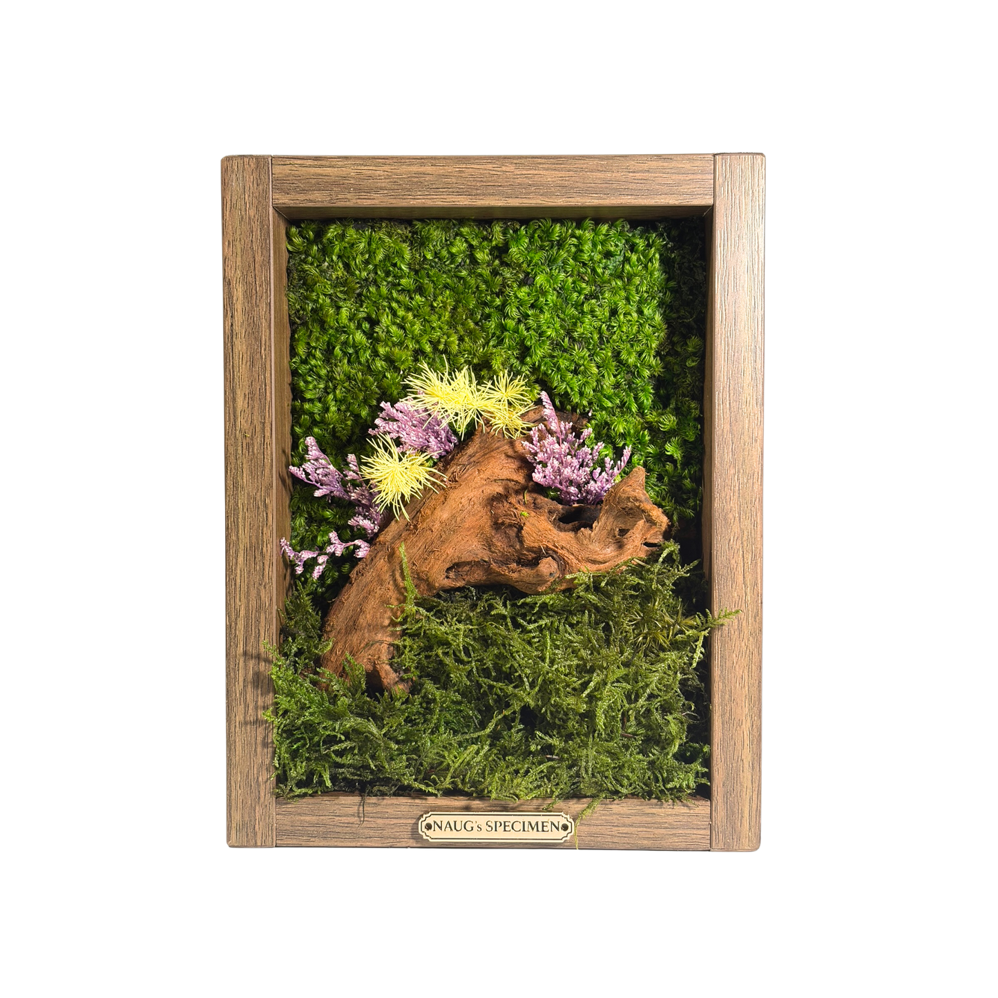 Preserved Moss Frame 280 with Driftwood