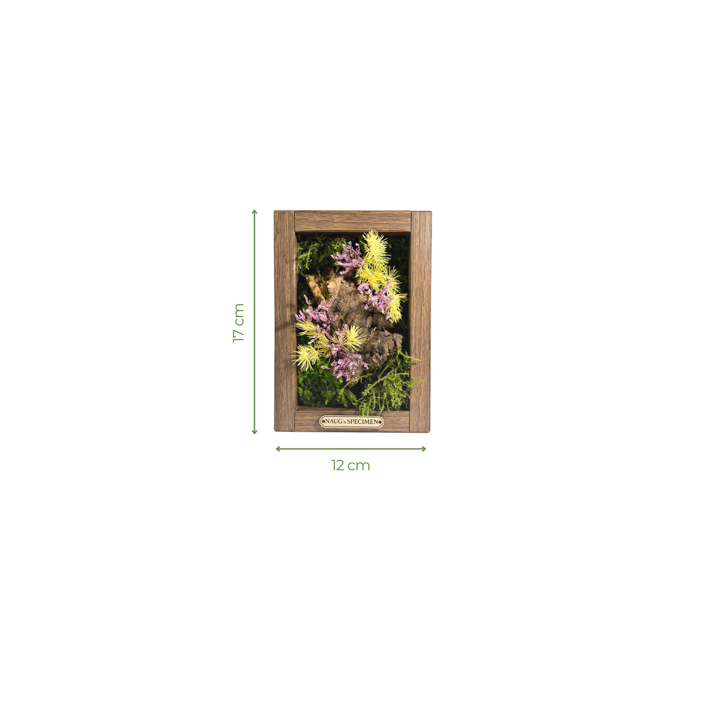 Preserved Moss Frame 180 with Cork Bark