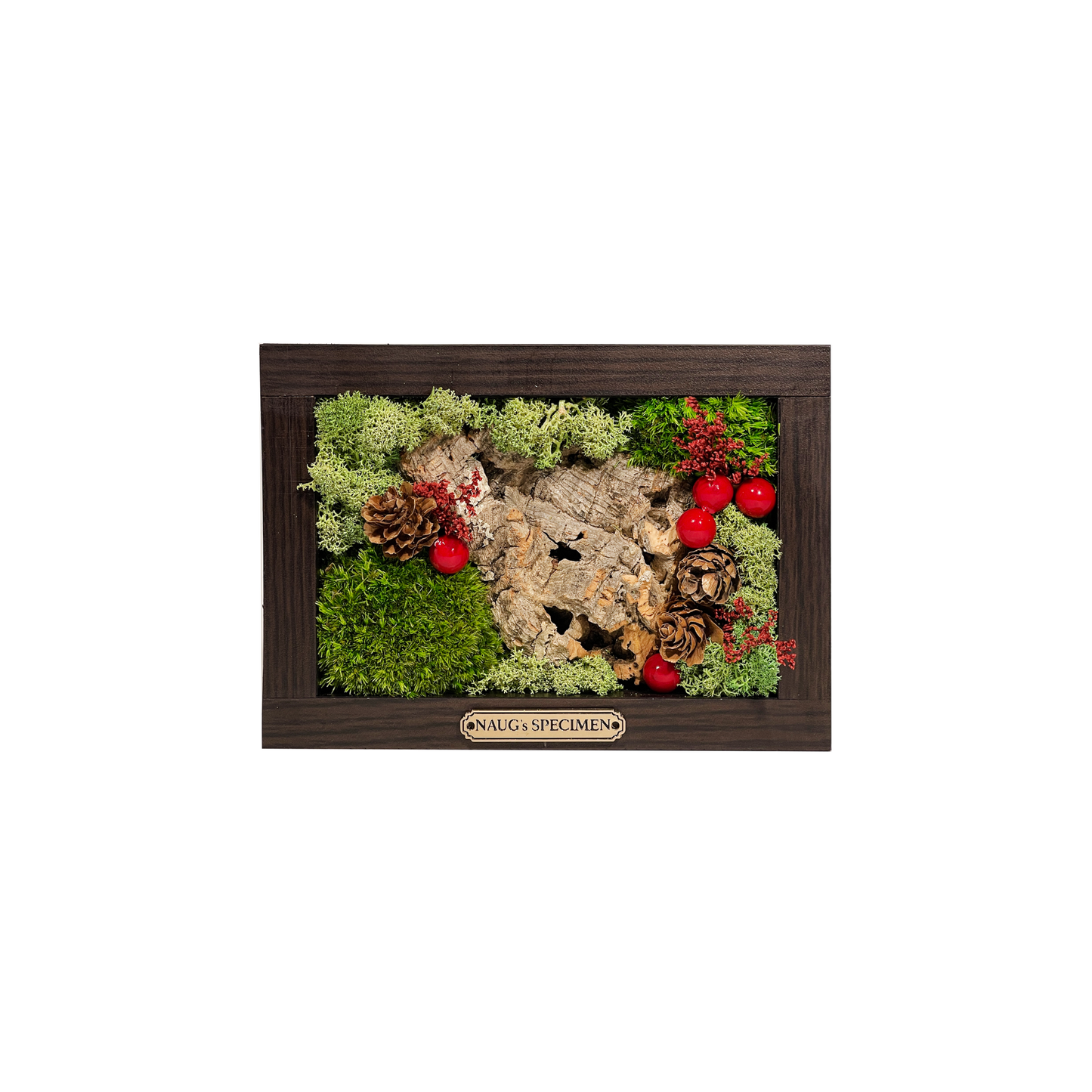Christmas Exclusive '25 Preserved Moss Frame with Cork Bark