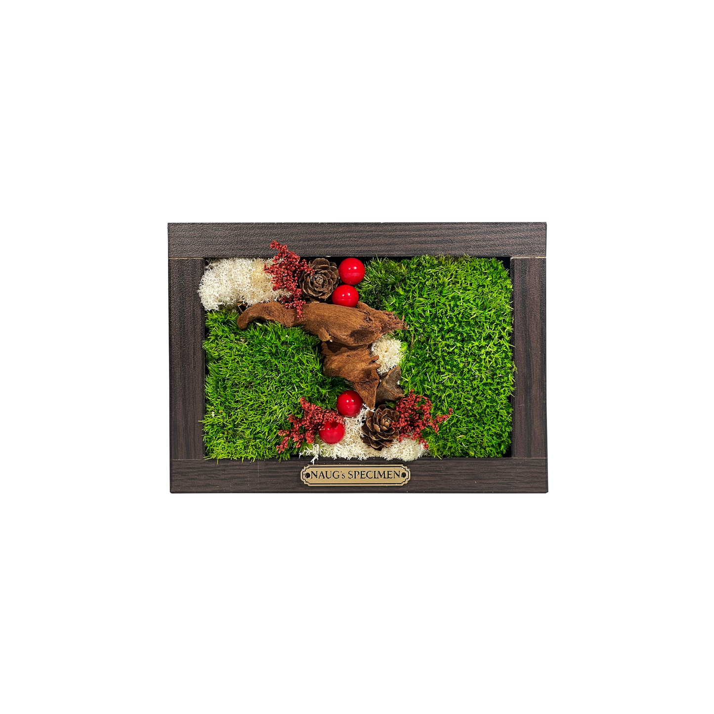 Christmas Exclusive '25 Preserved Moss Frame with Driftwood