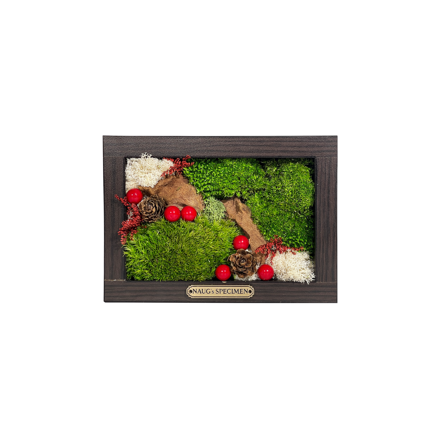 Christmas Exclusive '25 Preserved Moss Frame with Driftwood