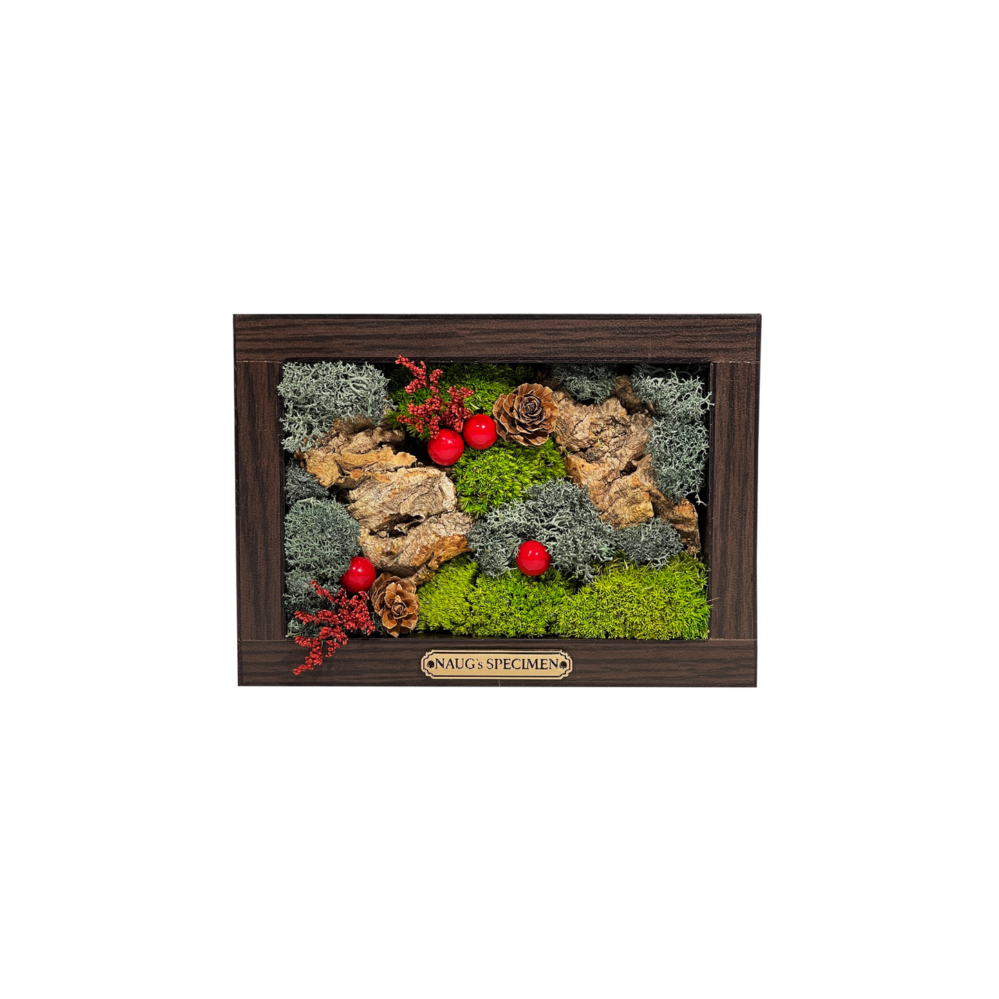 Christmas Exclusive '25 Preserved Moss Frame with Cork Bark
