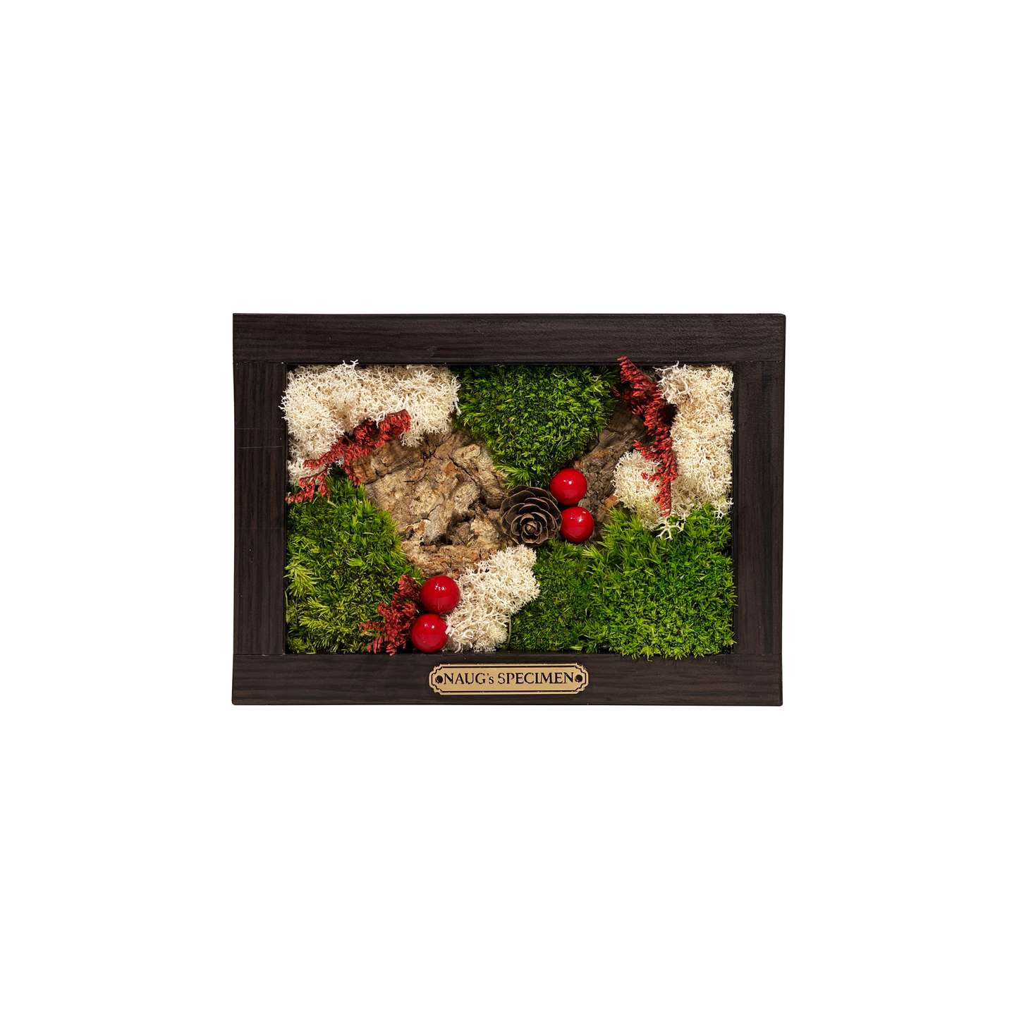 Christmas Exclusive '25 Preserved Moss Frame with Cork Bark
