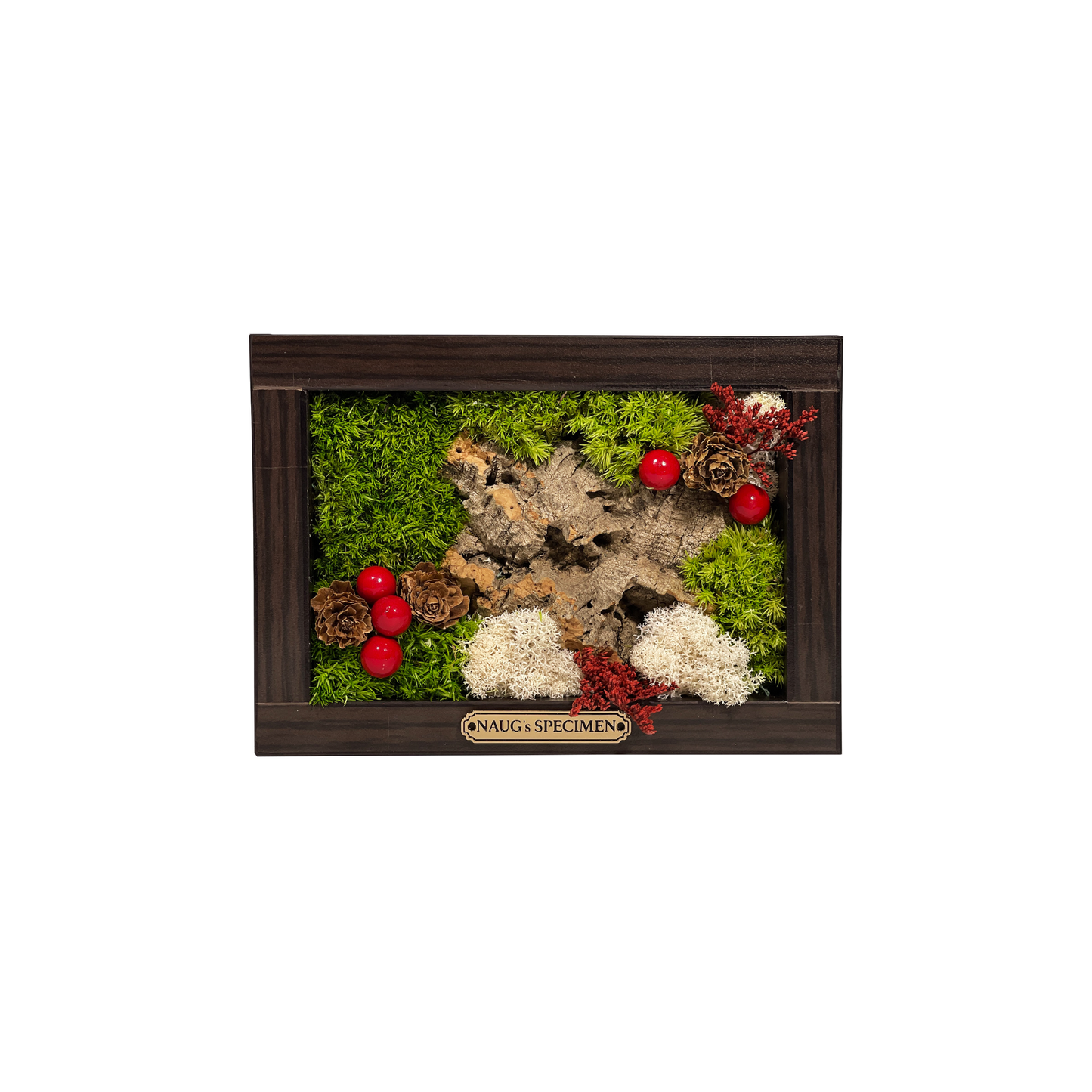 Christmas Exclusive '25 Preserved Moss Frame with Cork Bark
