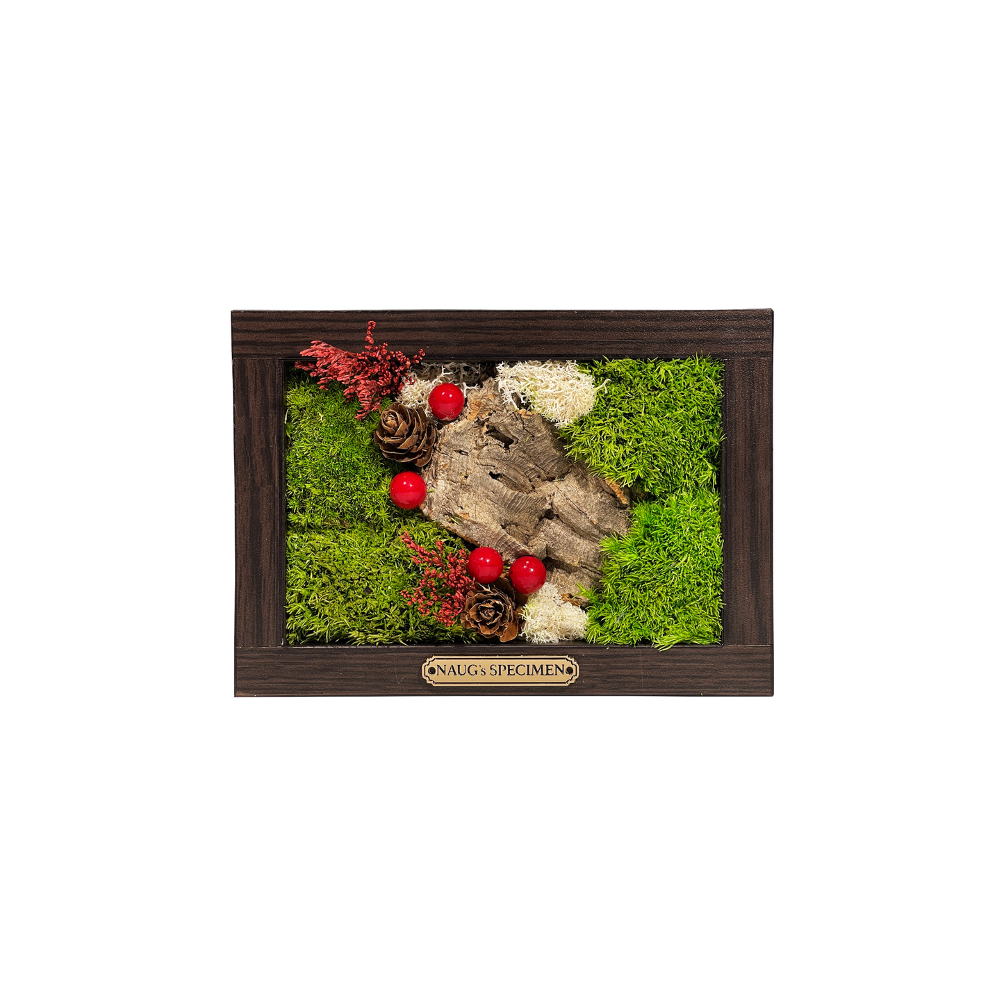 Christmas Exclusive '25 Preserved Moss Frame with Cork Bark