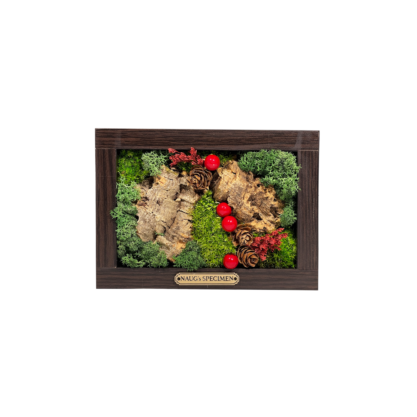 Christmas Exclusive '25 Preserved Moss Frame with Cork Bark