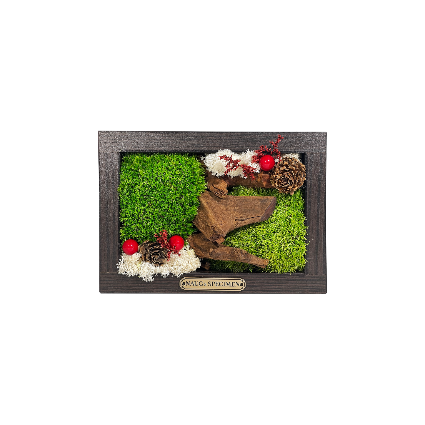 Christmas Exclusive '25 Preserved Moss Frame with Driftwood