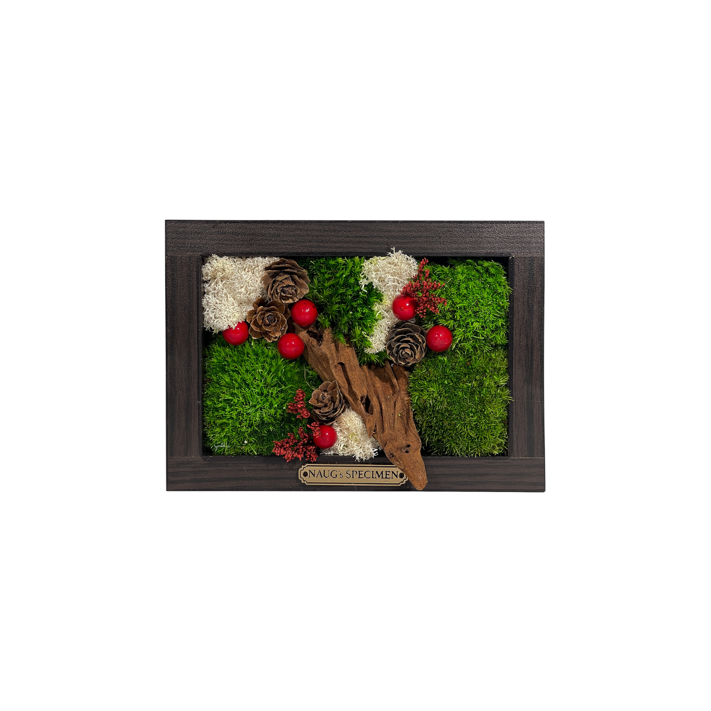 Christmas Exclusive '25 Preserved Moss Frame with Driftwood