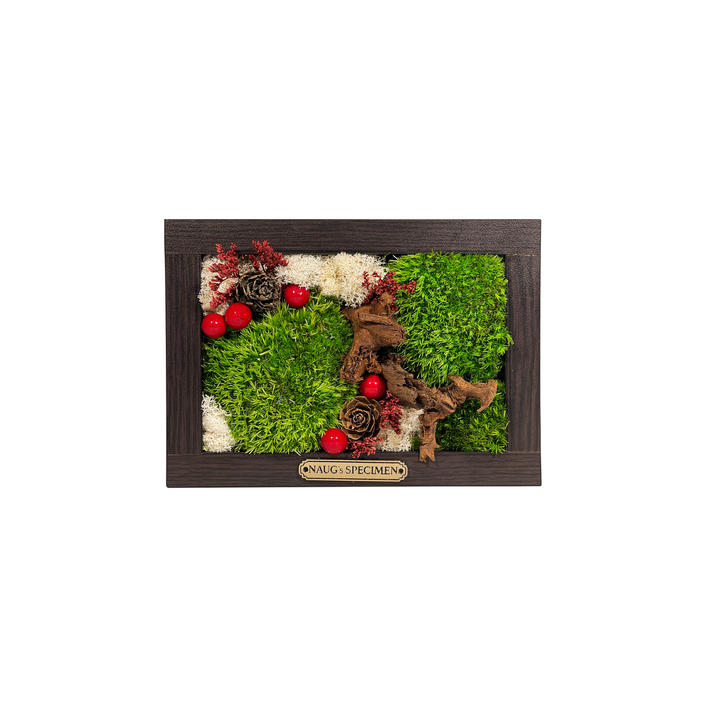 Christmas Exclusive '25 Preserved Moss Frame with Driftwood