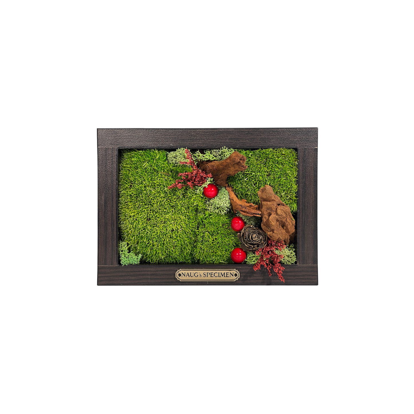 Christmas Exclusive '25 Preserved Moss Frame with Driftwood