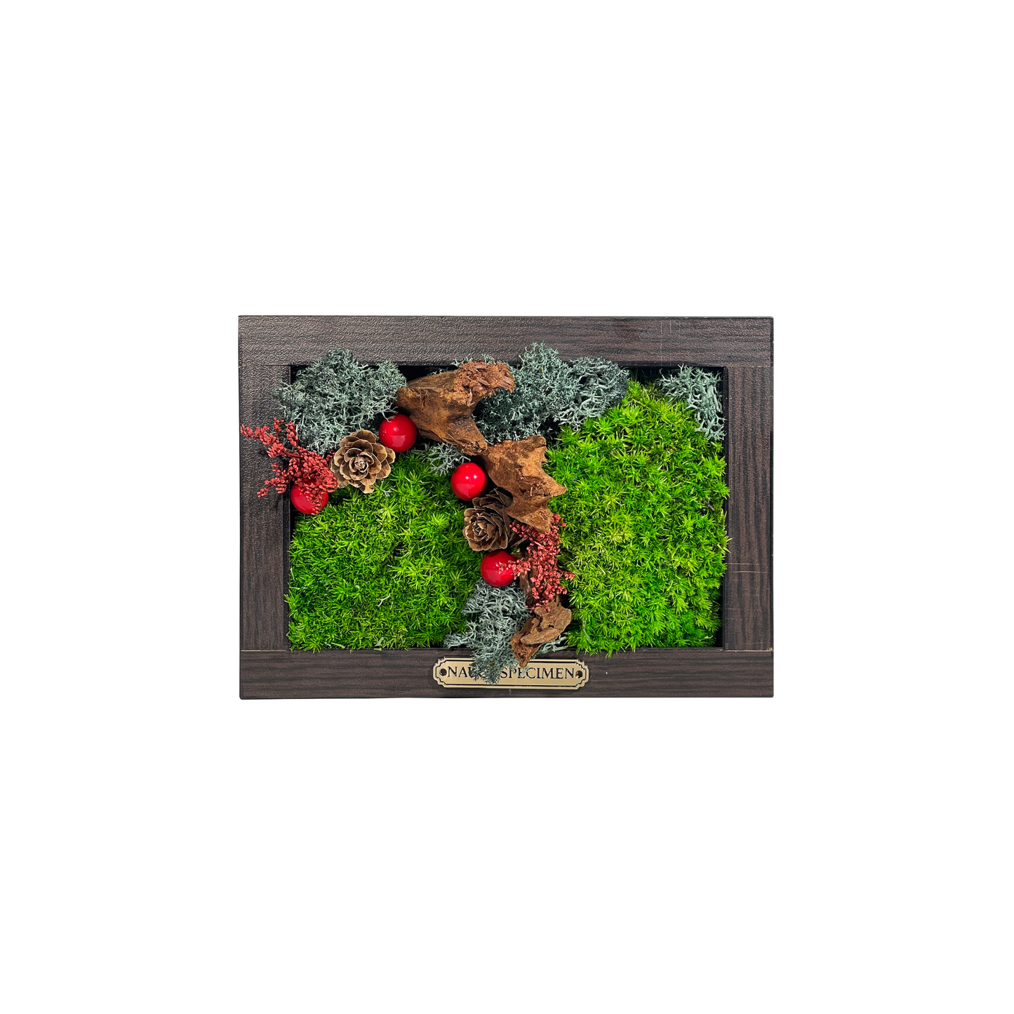 Christmas Exclusive '25 Preserved Moss Frame with Driftwood