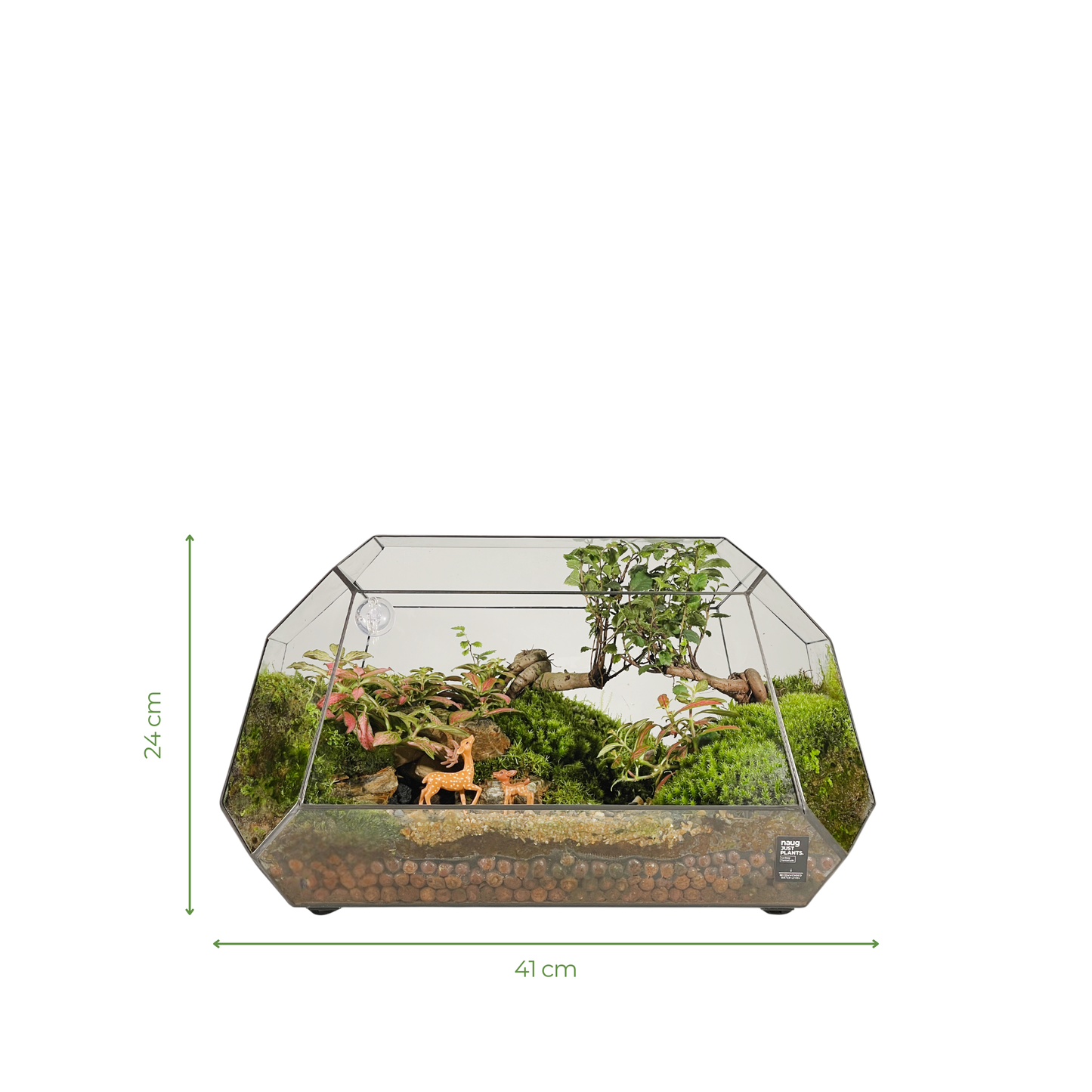 Geometric Terrarium 41CM x 24CM x 20.5CM