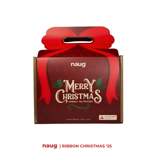 Secret Santa Soilless Terrarium DIY Kit