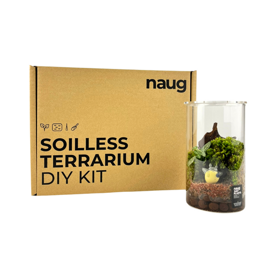 NAUG Soilless Terrarium DIY Kit