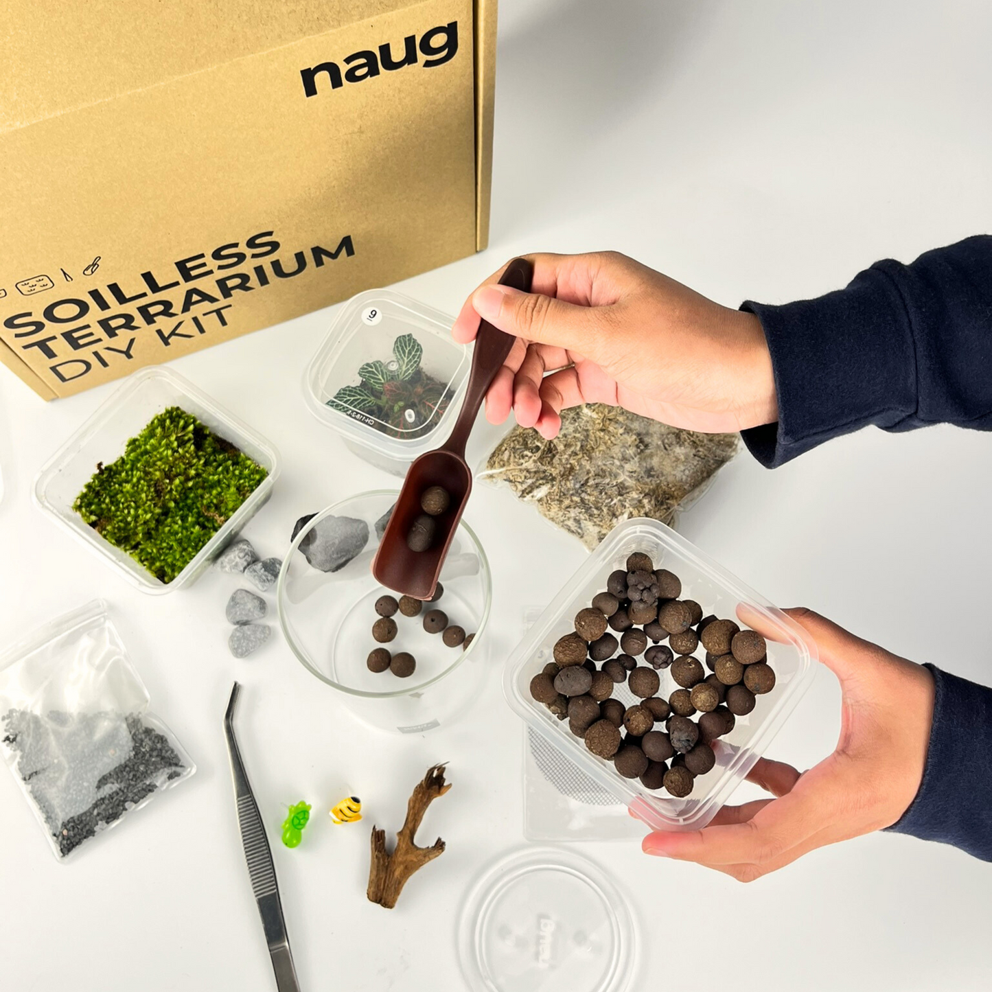 NAUG Soilless Terrarium DIY Kit