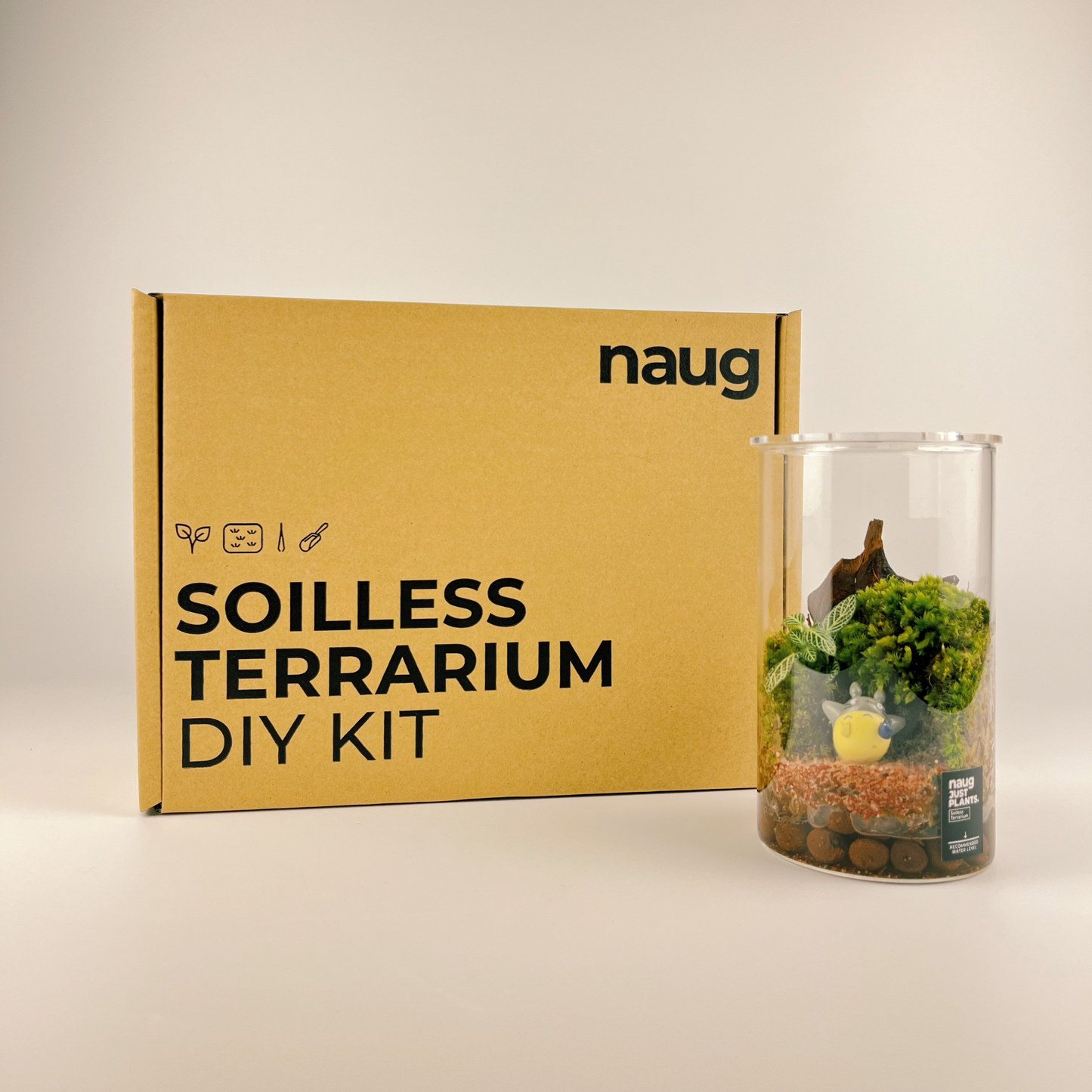 NAUG Soilless Terrarium DIY Kit