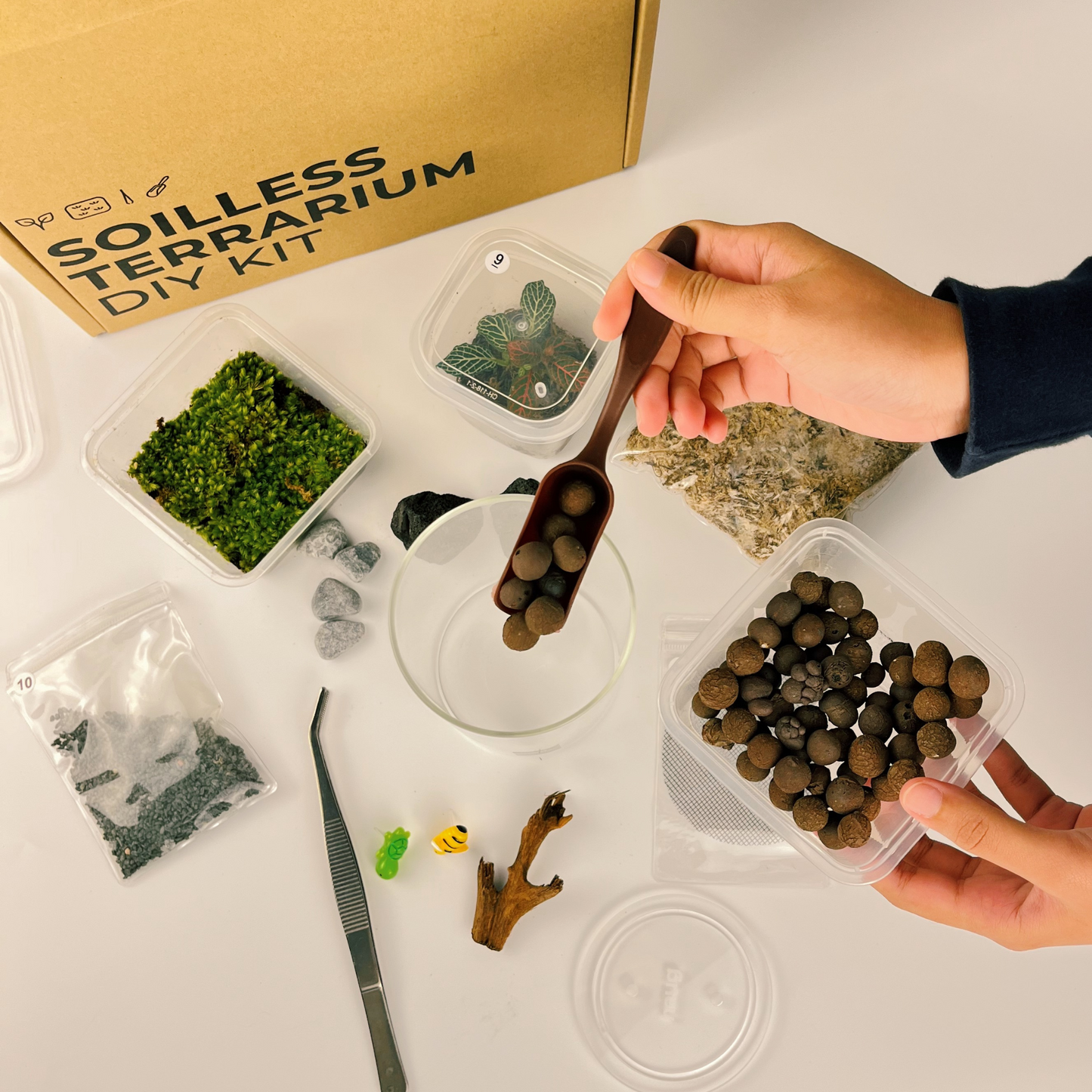 NAUG Soilless Terrarium DIY Kit